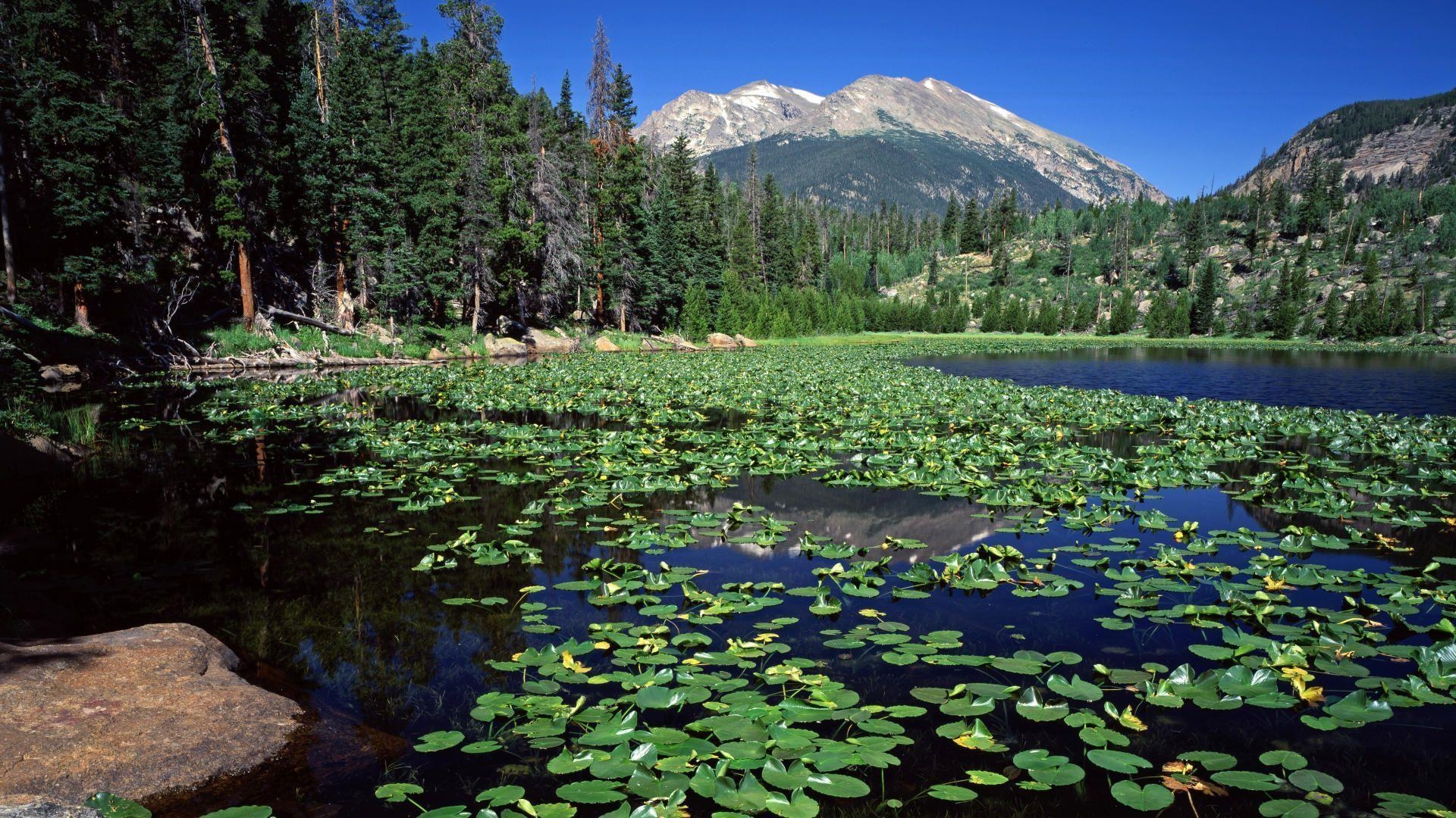 1920x1080 Cub Lake Stones Mountain Rocky, Desktop