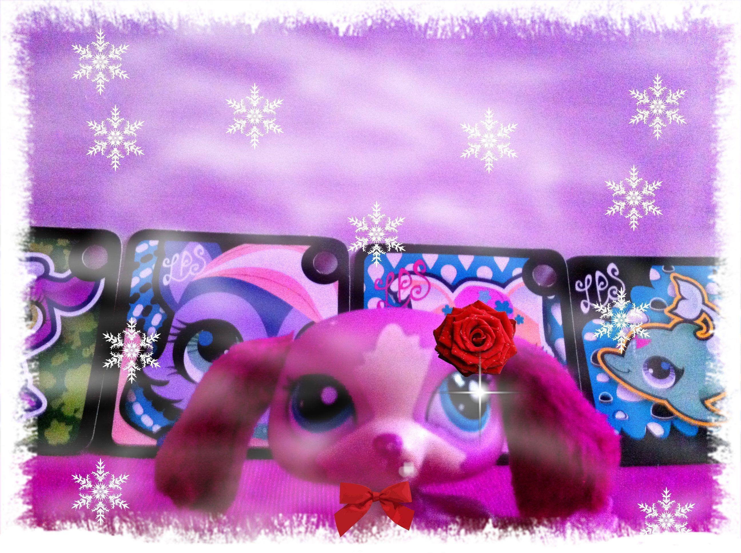 2600x1940 Littlest Pet Shop Club image Lps HD wallpaper and background, Desktop