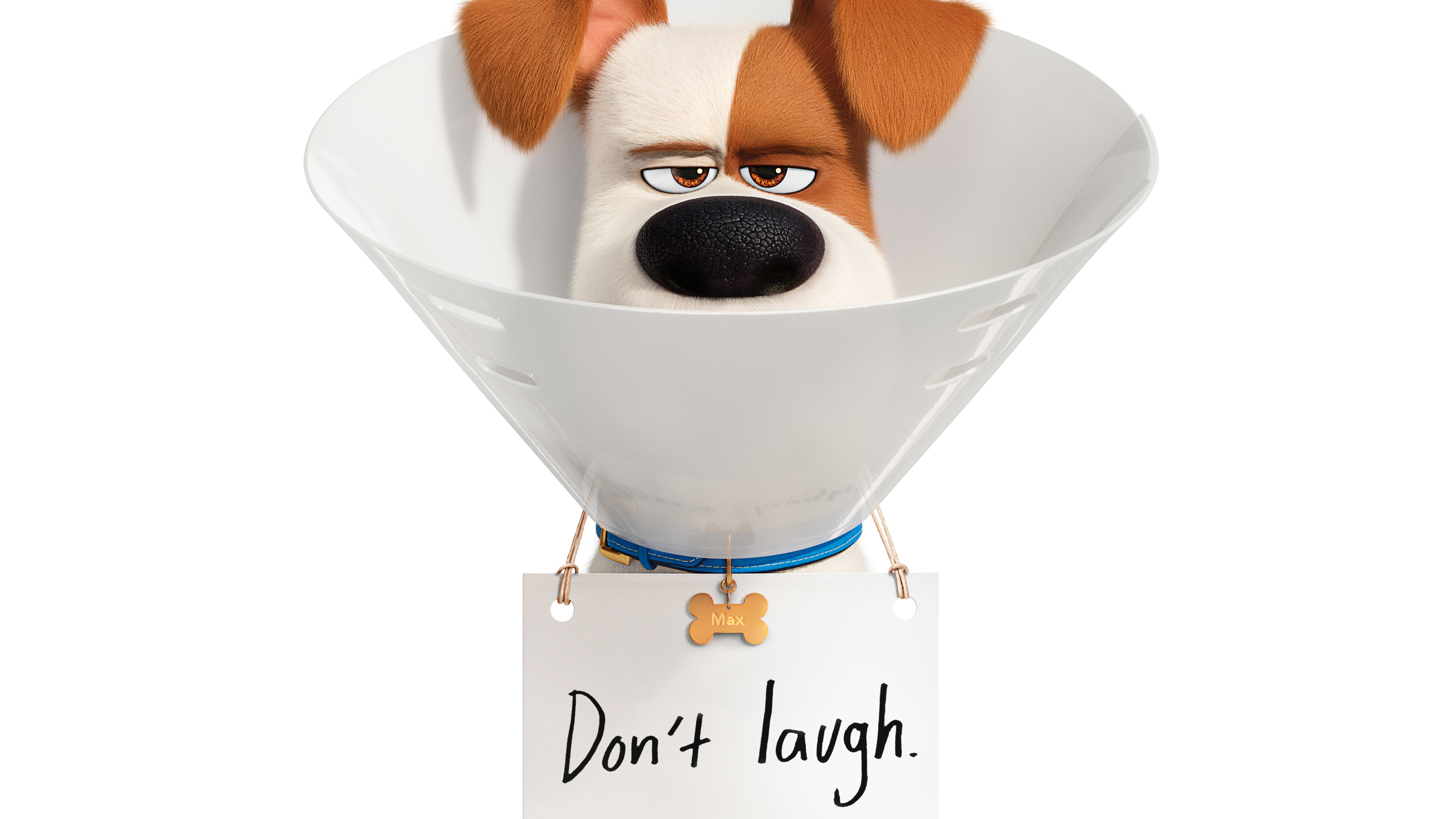 3160x1780 Max The Secret Life Of Pets HD Movies, 4k Wallpaper, Image, Desktop