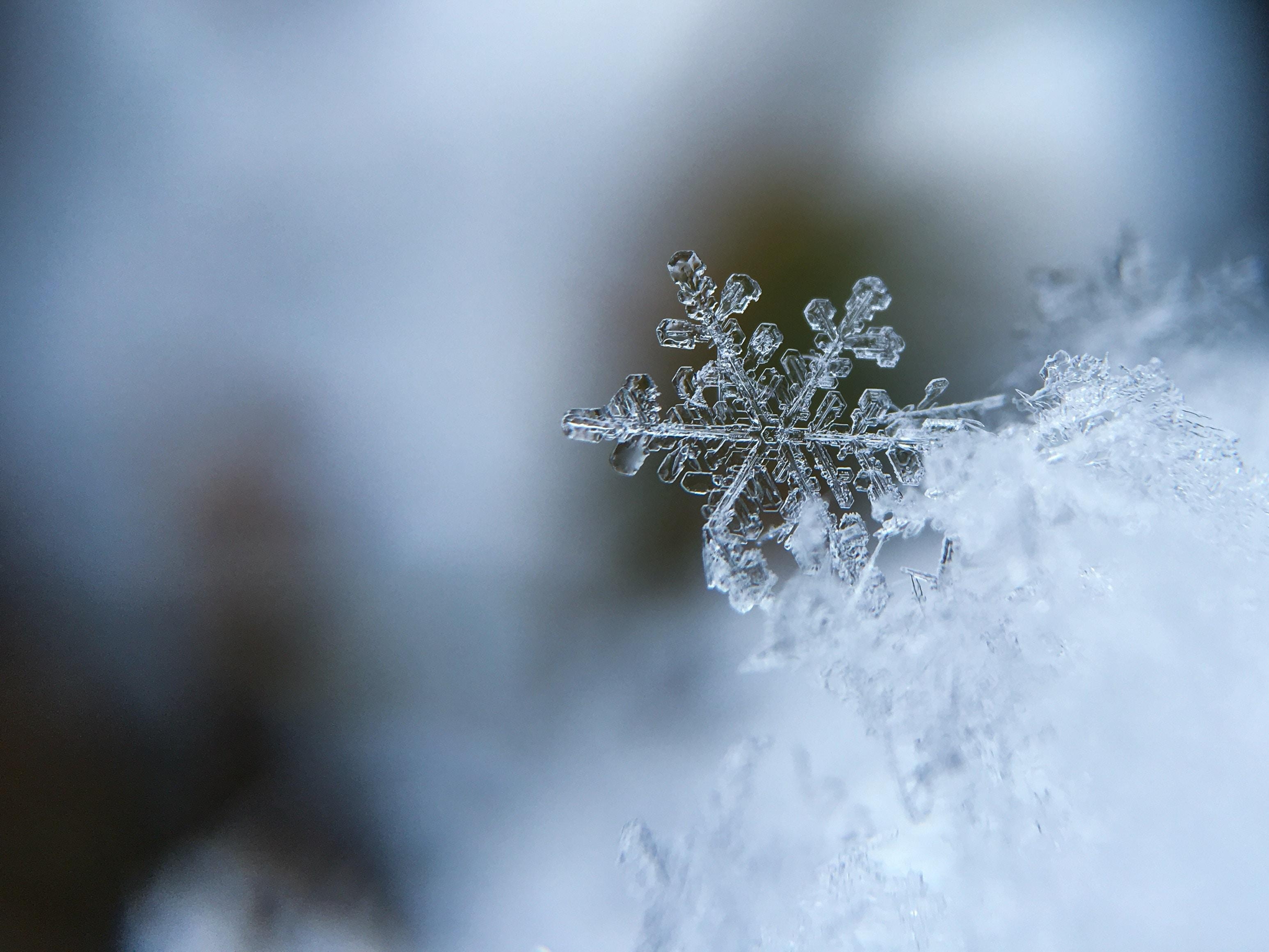 3100x2320 Poetry in Context: Sleigh Ride, Desktop