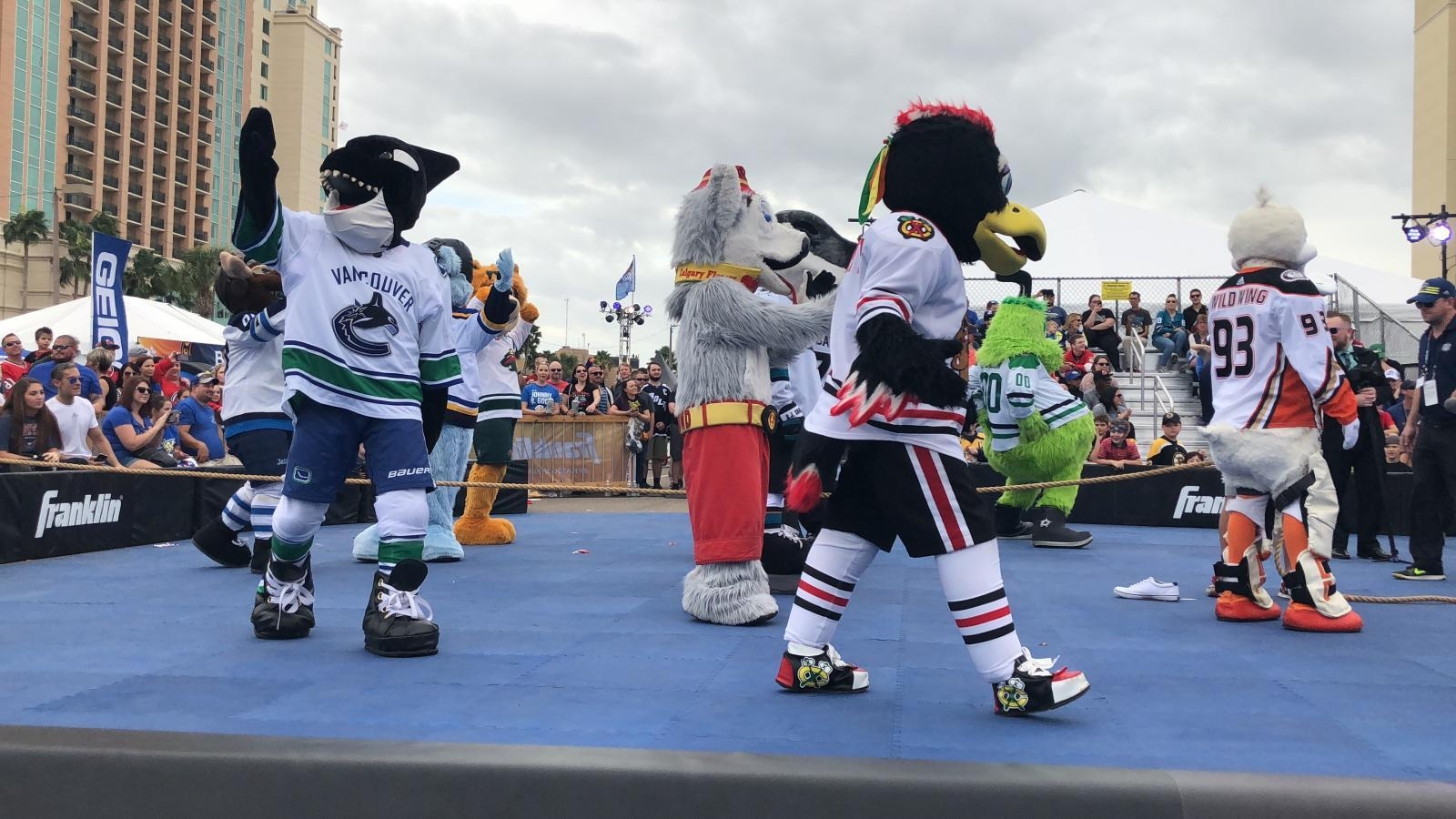 1600x900 FE61CF8A 747A 4427 A14A 92D35C793689.jpeg NHL Mascot Showdown, Desktop