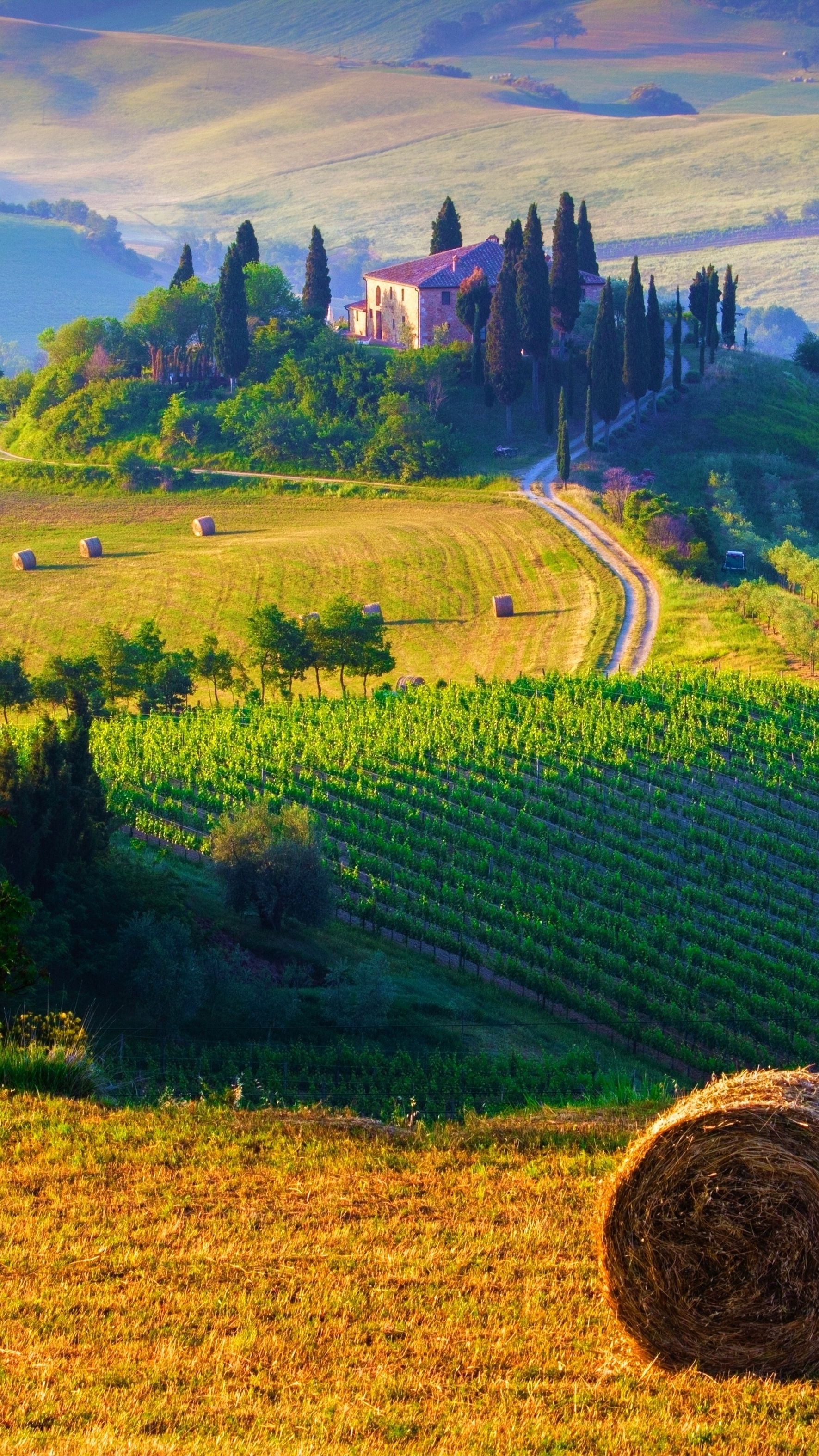 1780x3150 Tuscany Italy Landscape IPhone Wallpaper. Time For Myself In 2019, Phone