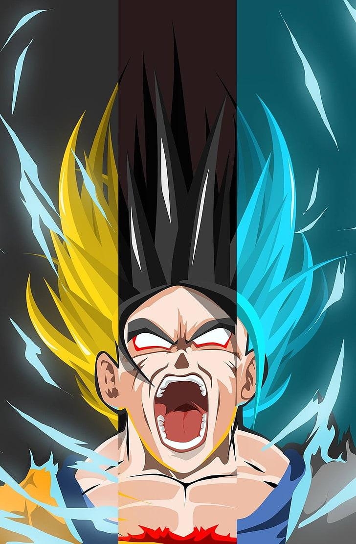 730x1110 Dragon Ball Super 1080P, 2K, 4K, 5K HD wallpaper free download, Phone