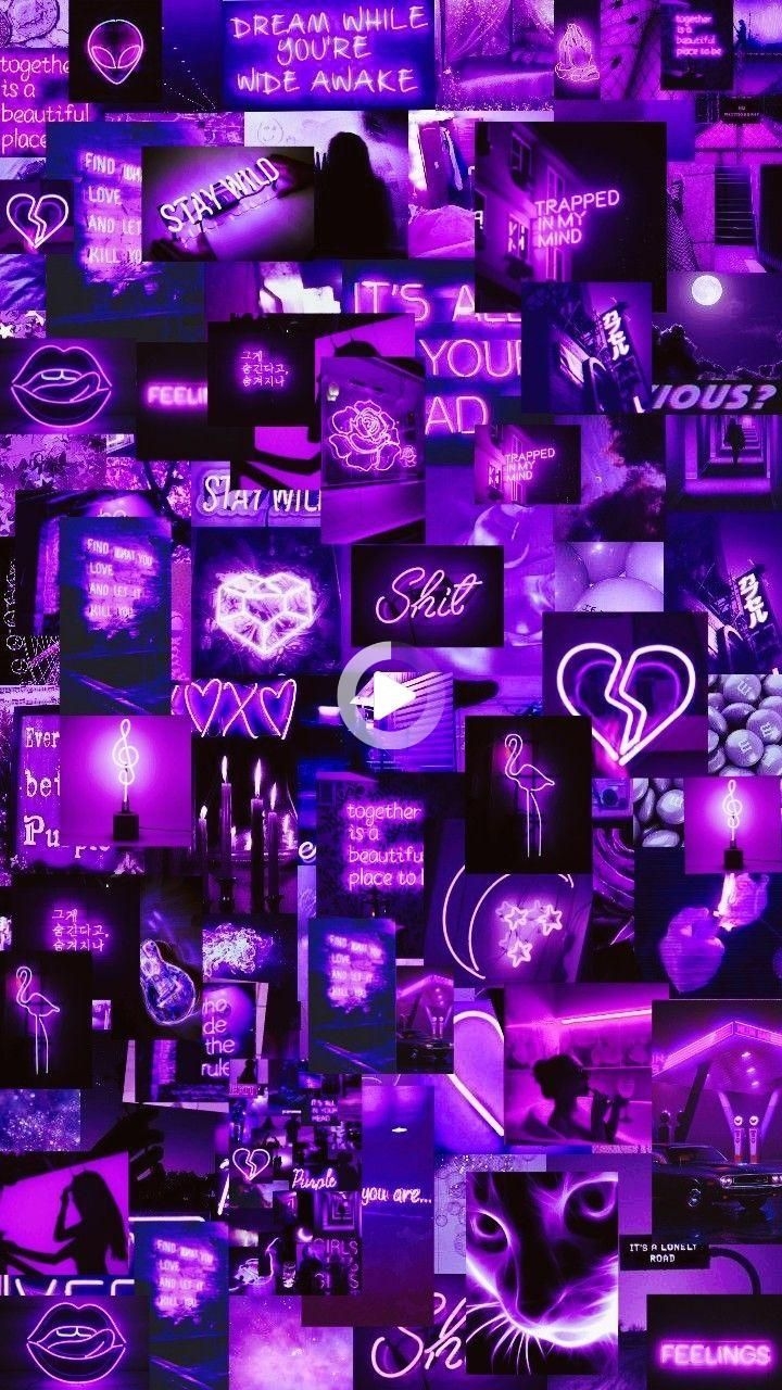 720x1280 Purple Aesthetic Wallpaper Neon, Free Download Neon Plants Background Neon Aesthetic Supreme Wallpaper 736x1104 For Your Desktop Mobile Tablet Explore 44 Neon Aesthetic Wallpaper Neon Aesthetic Wallpaper Aesthetic Wallpaper Aesthetic Wallpaper, Phone