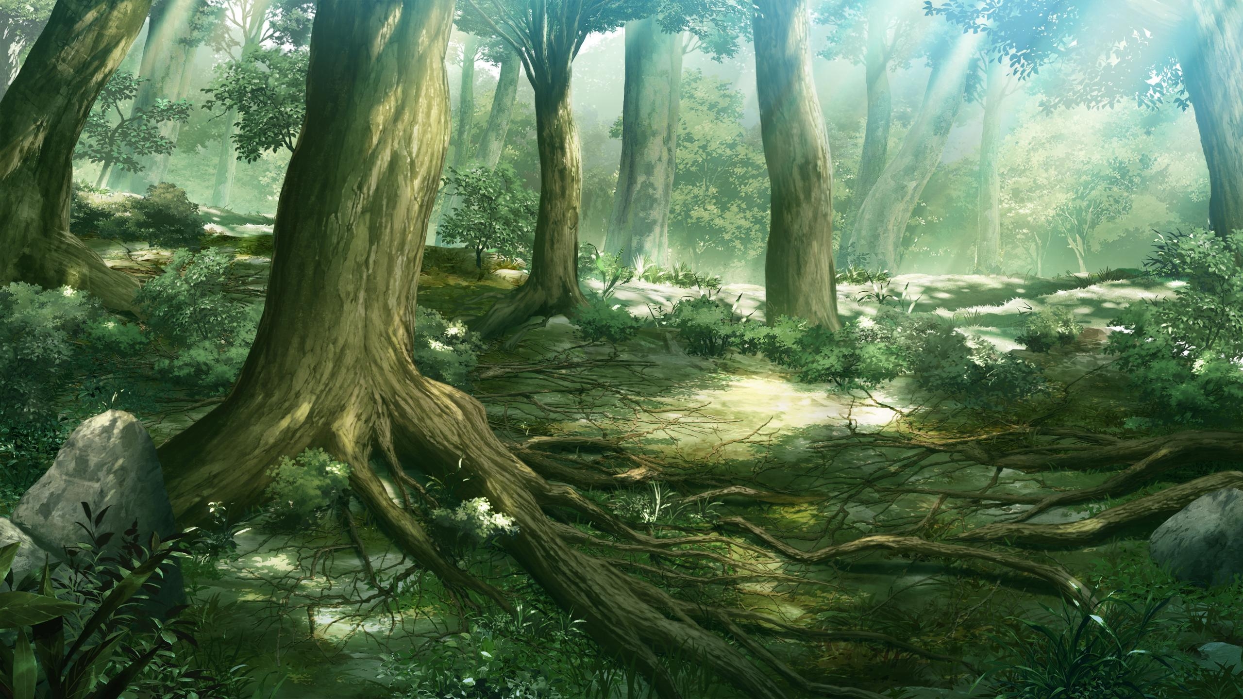 2560x1440 Anime Forest Wallpaper Free Anime Forest Background, Desktop