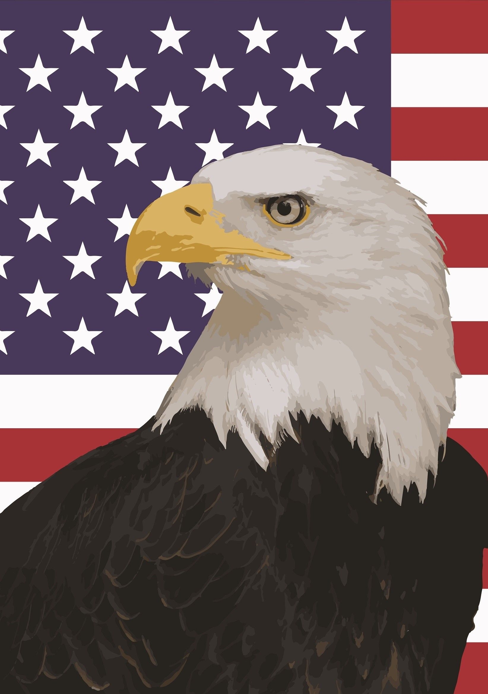 1650x2340 American Bald Eagle Wallpaper, Phone