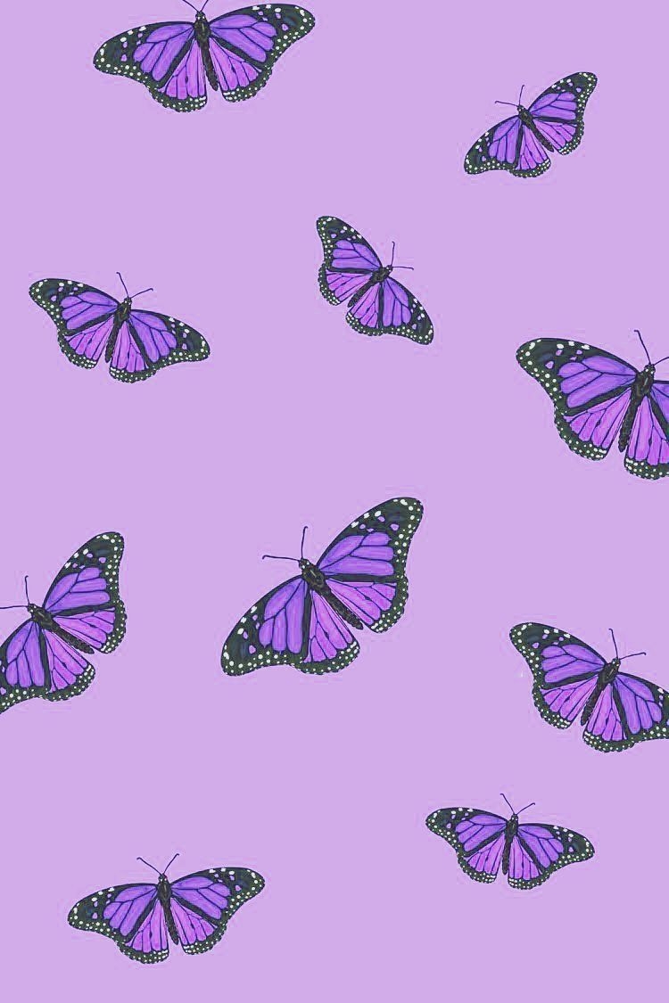 750x1130 Purple butterfly wallpaper, Purple, Phone