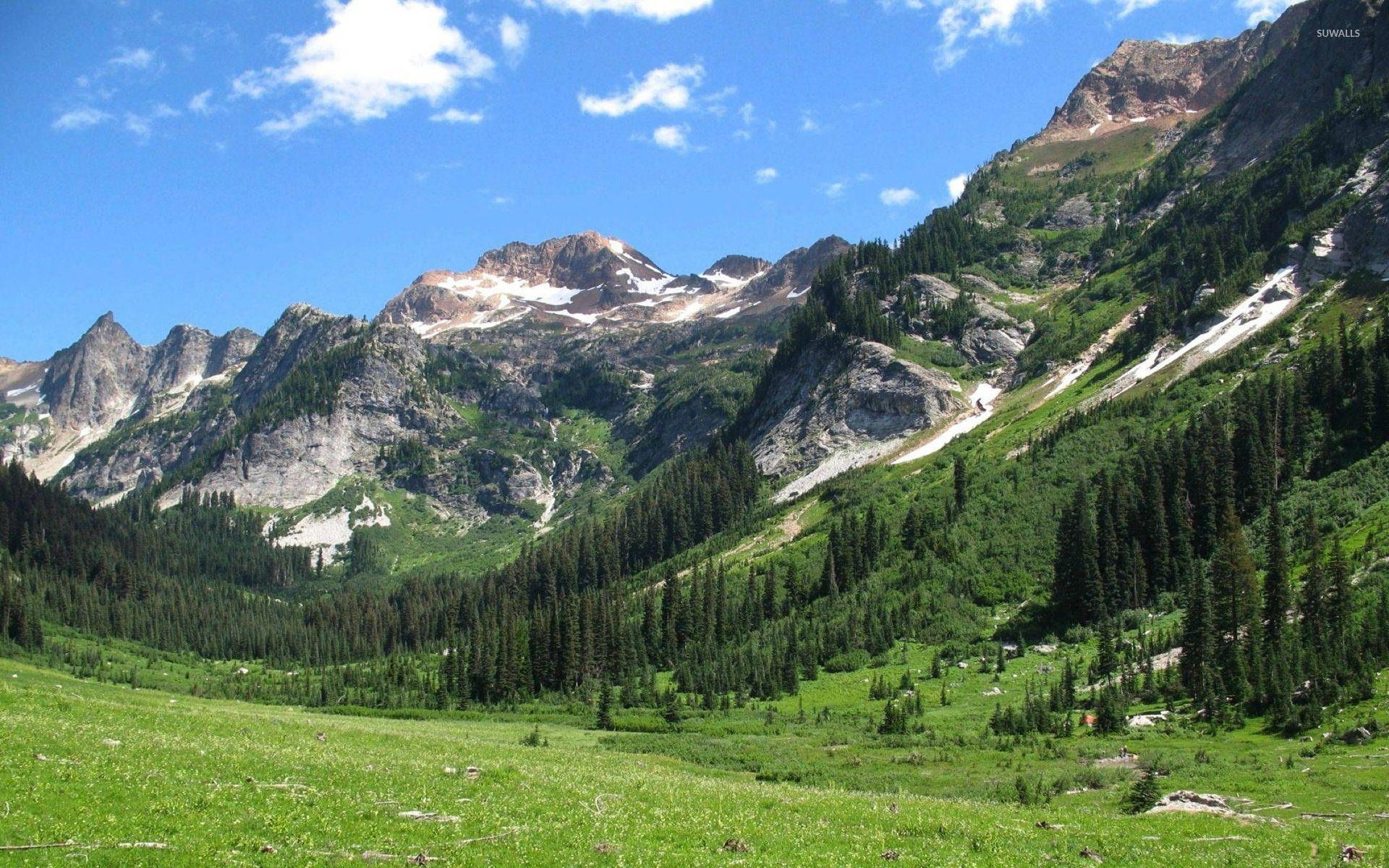 1920x1200 Spider meadow, Washington State Park wallpaper wallpaper, Desktop