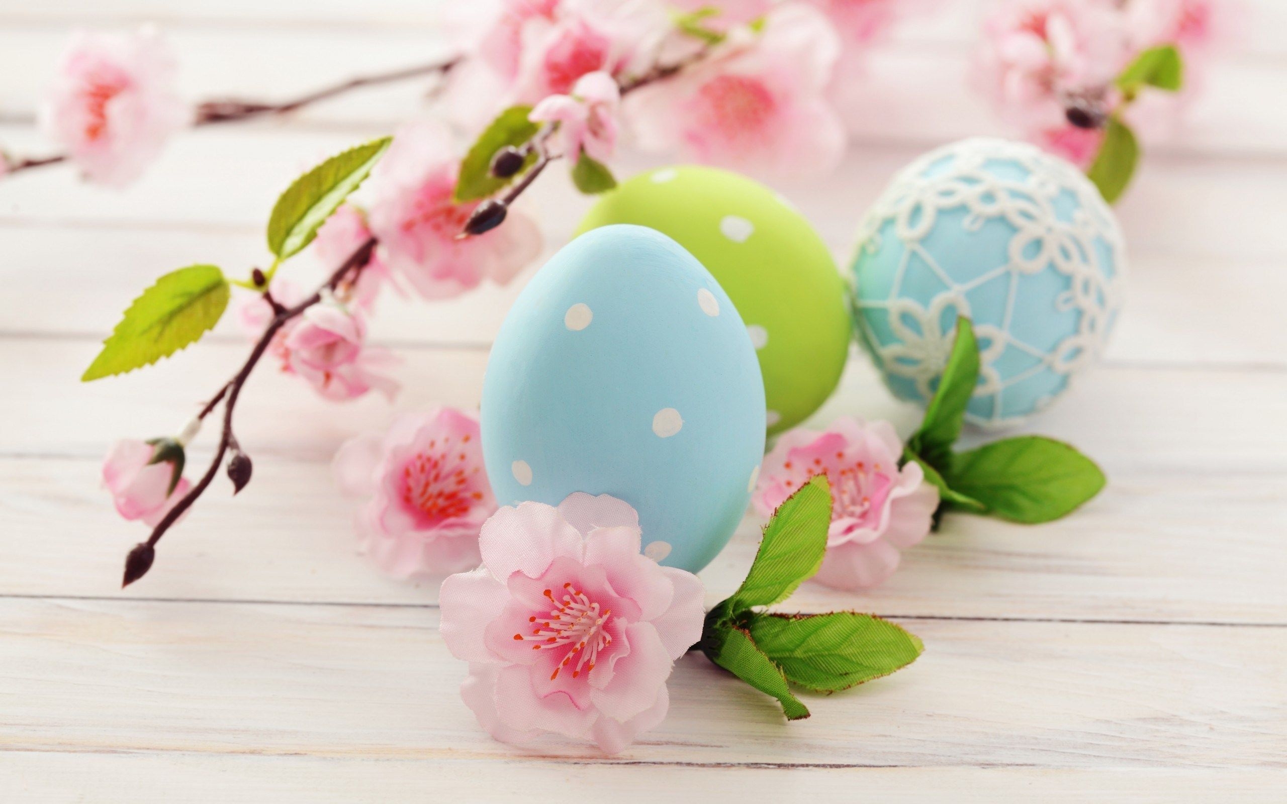 2560x1600 Eggs Holiday Spring Easter wallpaperx1600, Desktop