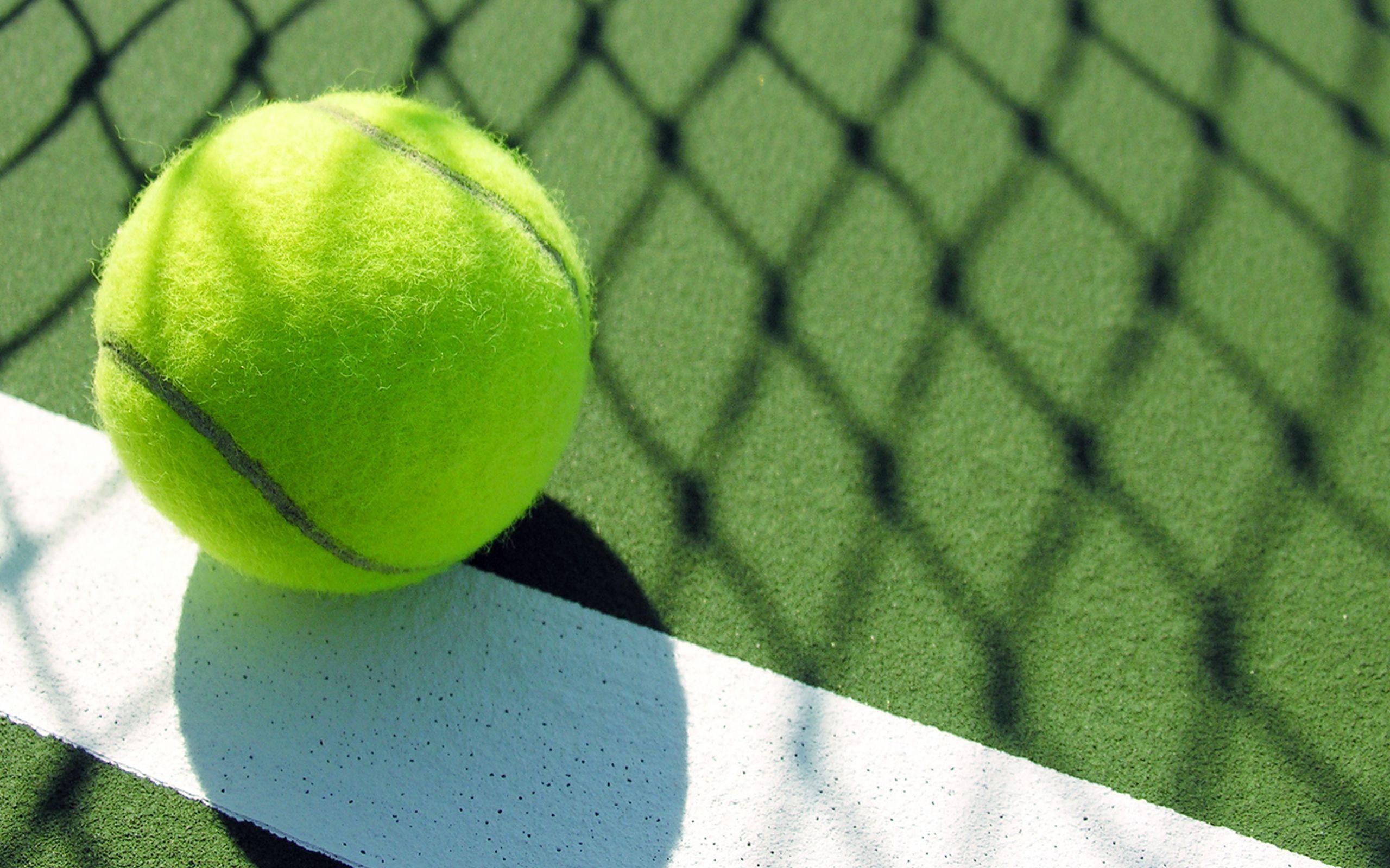 2560x1600 Tennis Ball Wallpaper Background 48955  px, Desktop