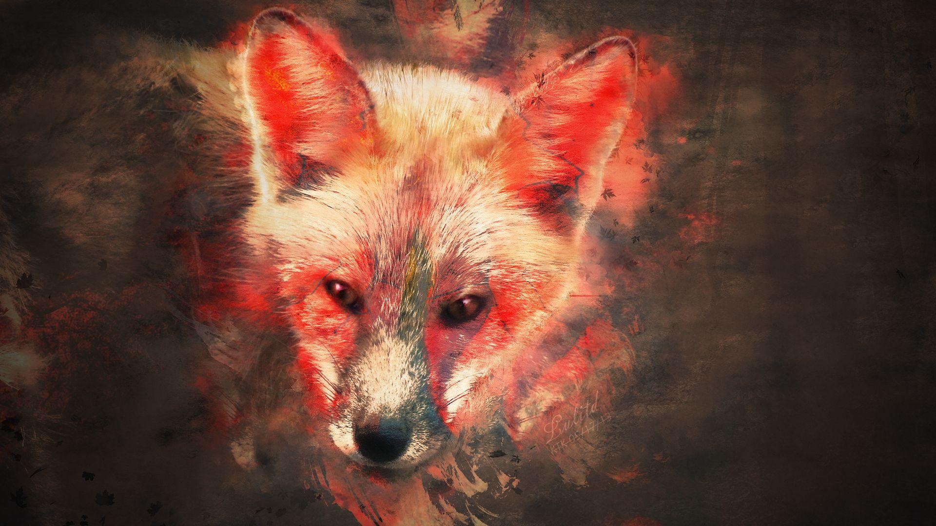 1920x1080 Fox Wallpaper HD, Desktop