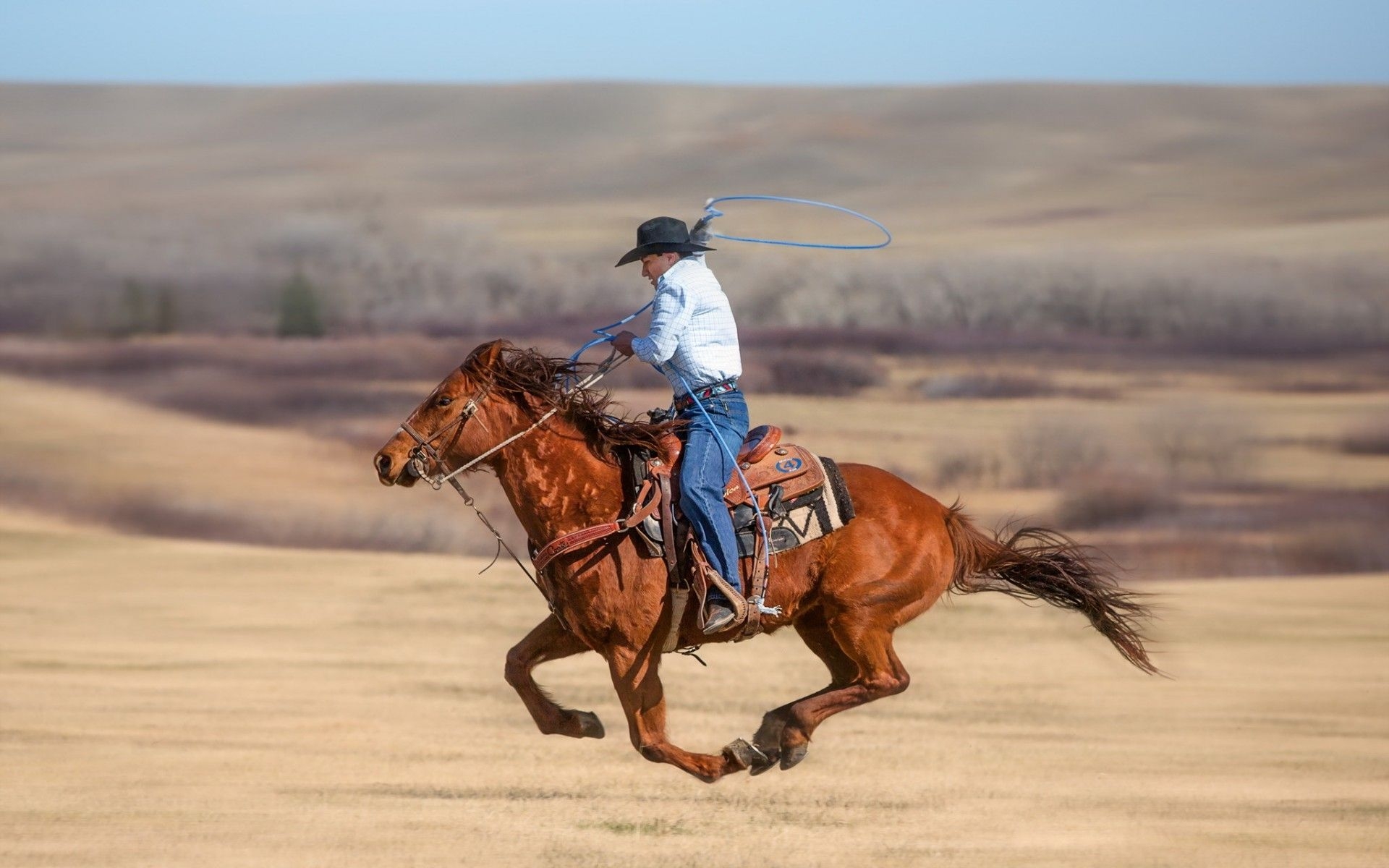 1920x1200 horse, western, horses, cowboys.sf.co.ua, Desktop