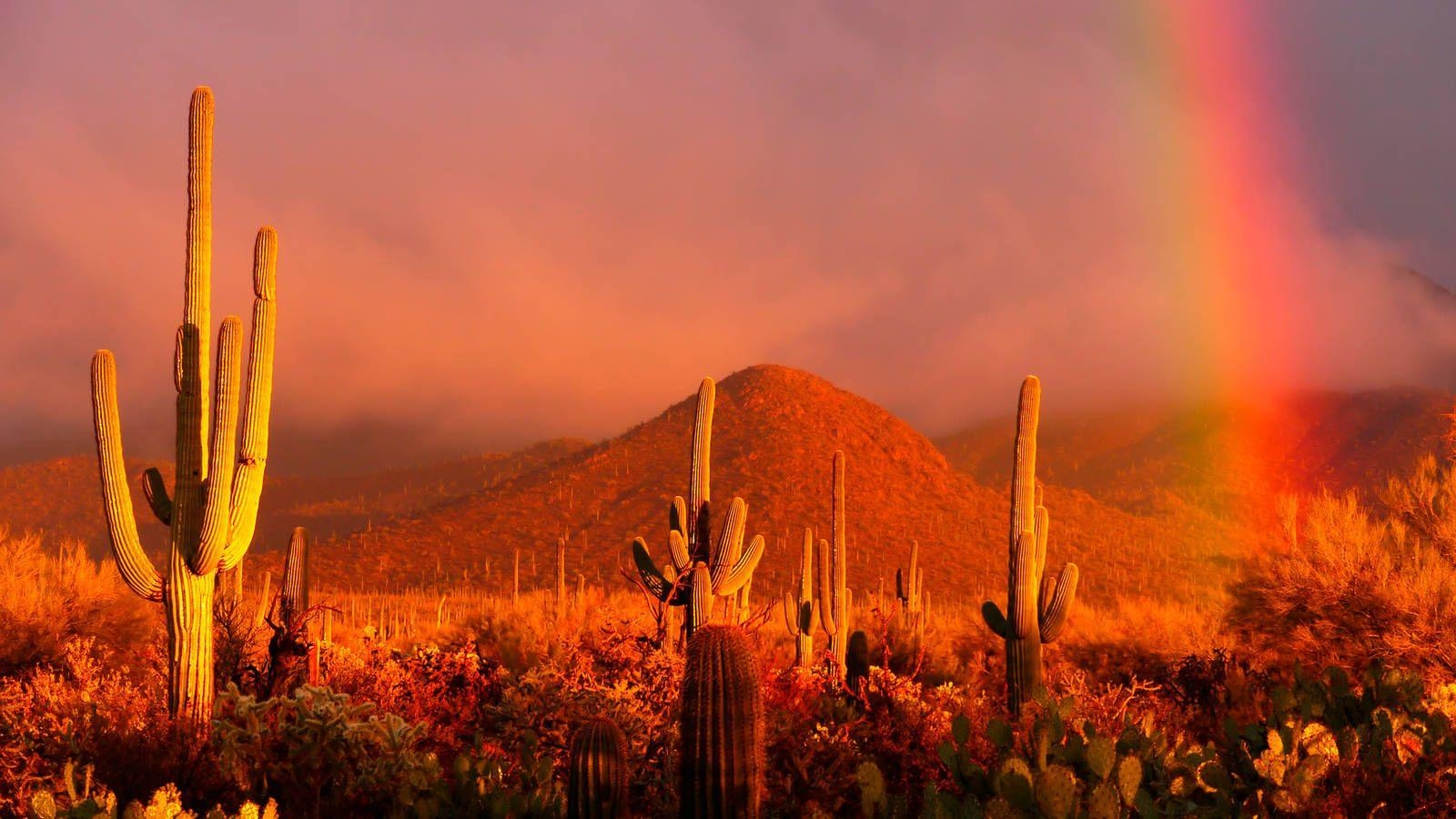 1600x900 Public Meeting on Highway near Saguaro National Park · National, Desktop