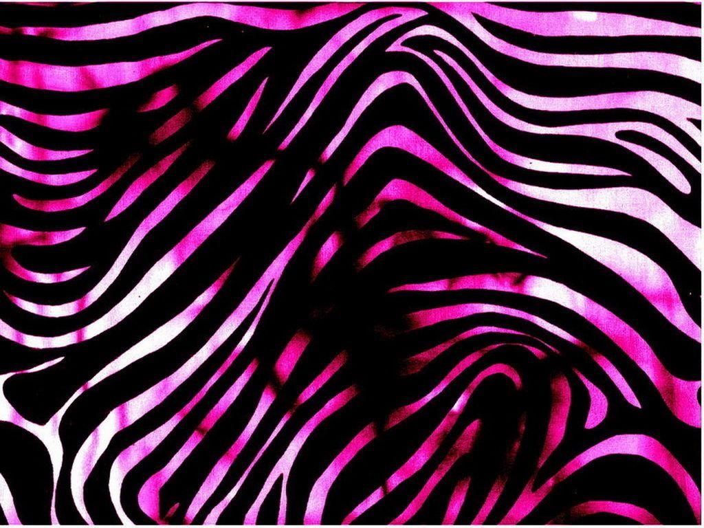 1030x770 Pink Zebra Wallpaper on MarkInternational.info, Desktop