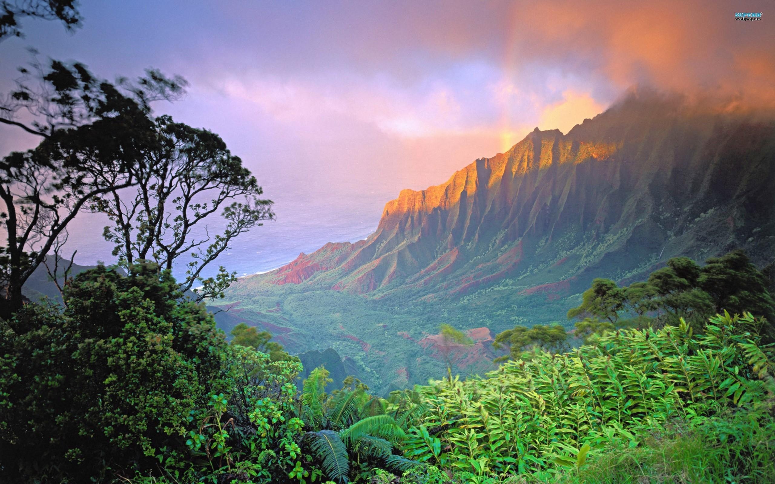 2560x1600 Hawaii nature wallpaper. PC, Desktop