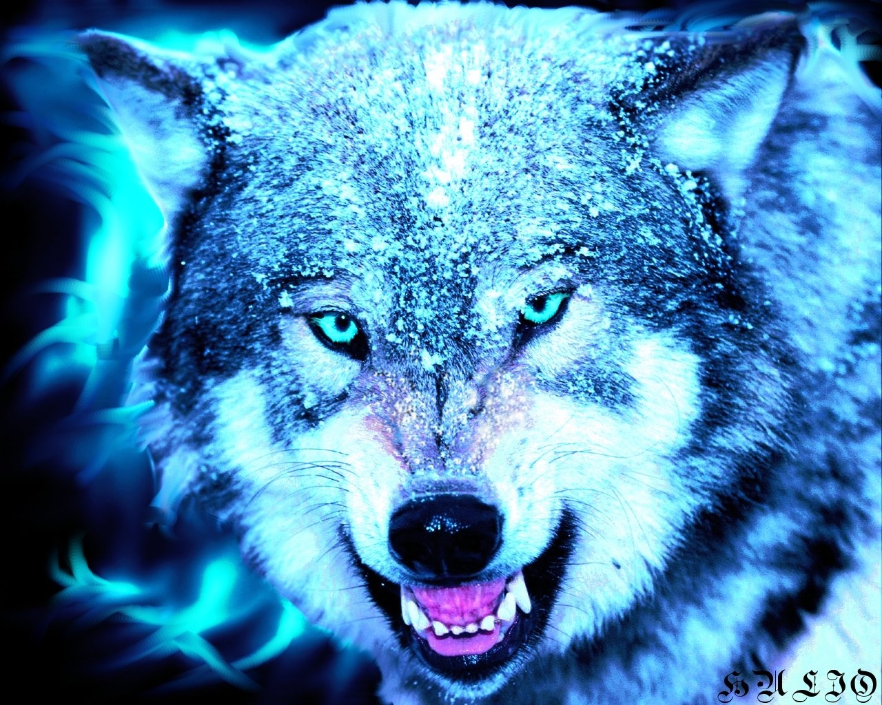 1280x1030 Cool Wolves, Cool Background Wallpaper & Background Download, Desktop