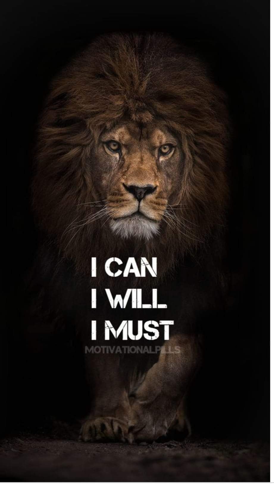 930x1640 Leo pix. Inspirational quotes, Phone