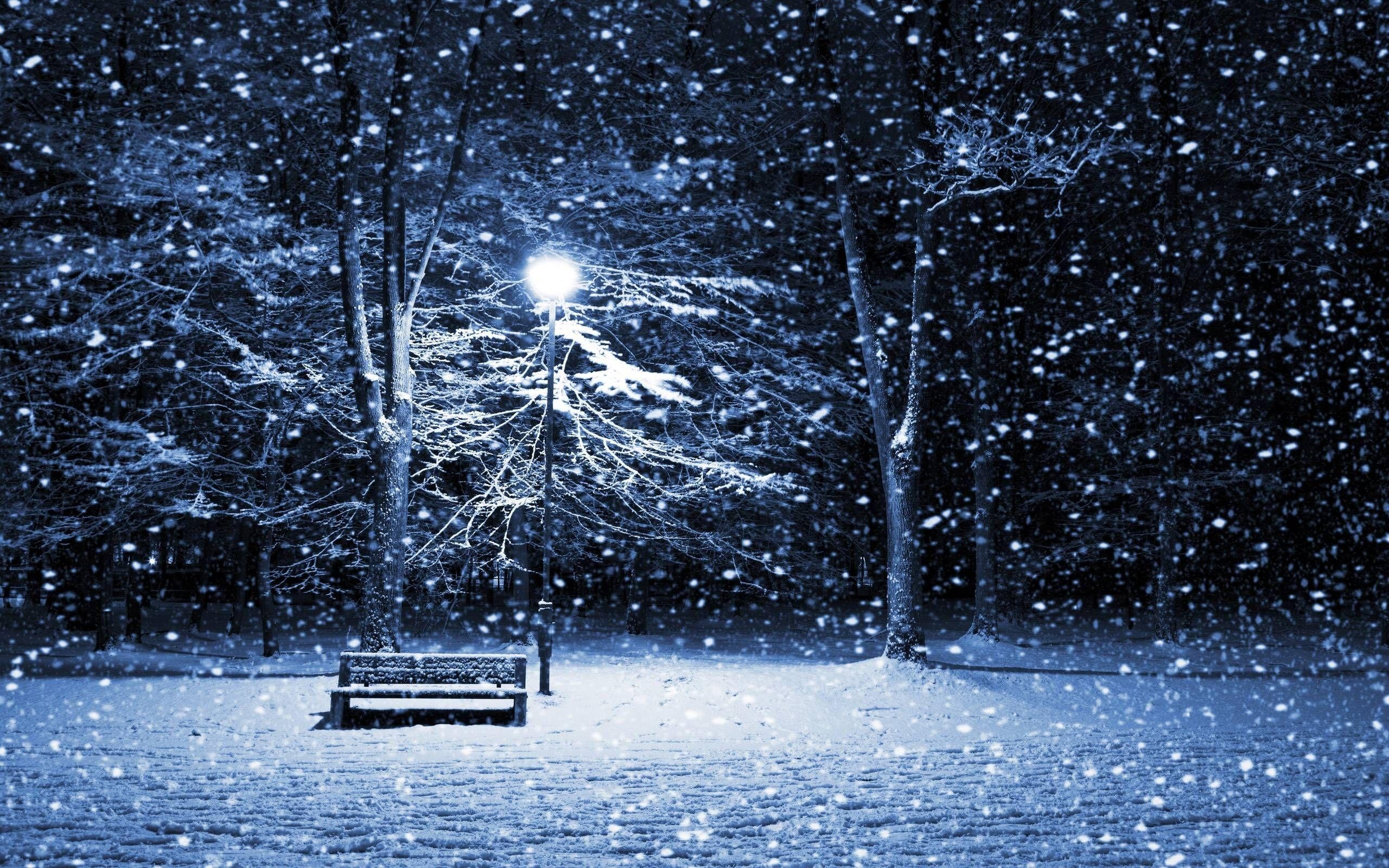 2560x1600 Free Winter Scene Wallpaper. Winter wonderland wallpaper, Winter wallpaper, Scenery wallpaper, Desktop