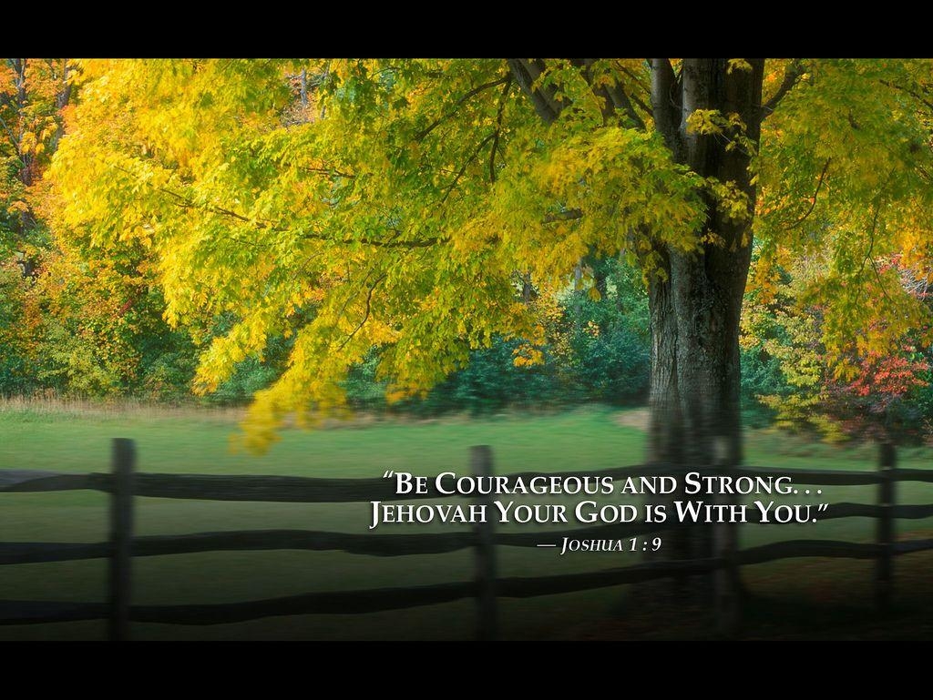 1030x770 Jehovahs Witnesses Wallpaper, Desktop