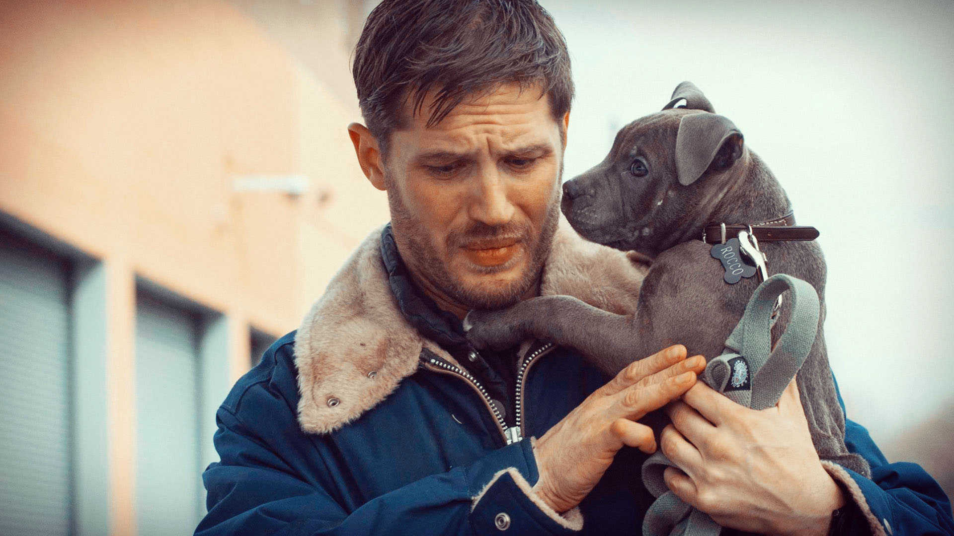 1920x1080 Tom Hardy Wallpaper High Resolution and Quality Download, Desktop