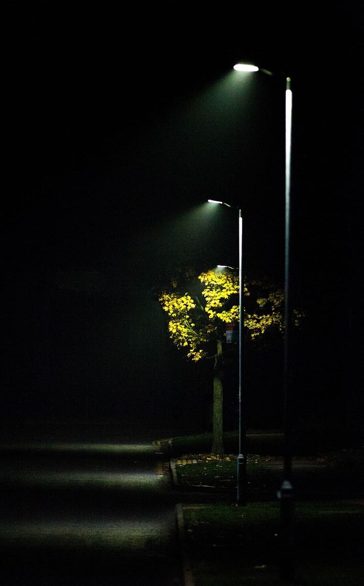 740x1190 streetlight, mist, road light, scene, autumn, outdoor, night, lights. Piqsels. iPhone wallpaper HD nature, Night street photography, Dark phone wallpaper, Phone