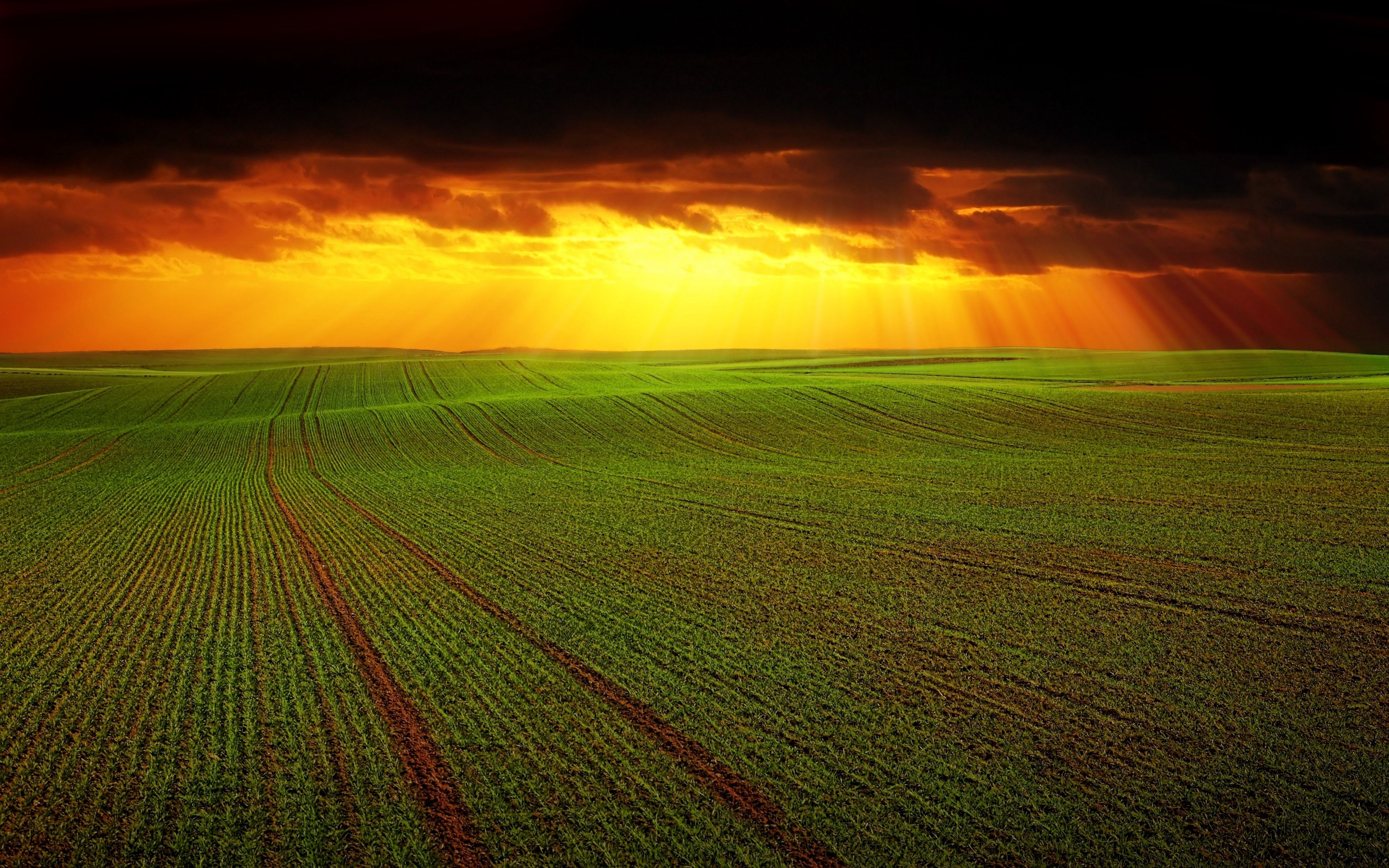 3840x2400 Agriculture Wallpaper Free Agriculture Background, Desktop