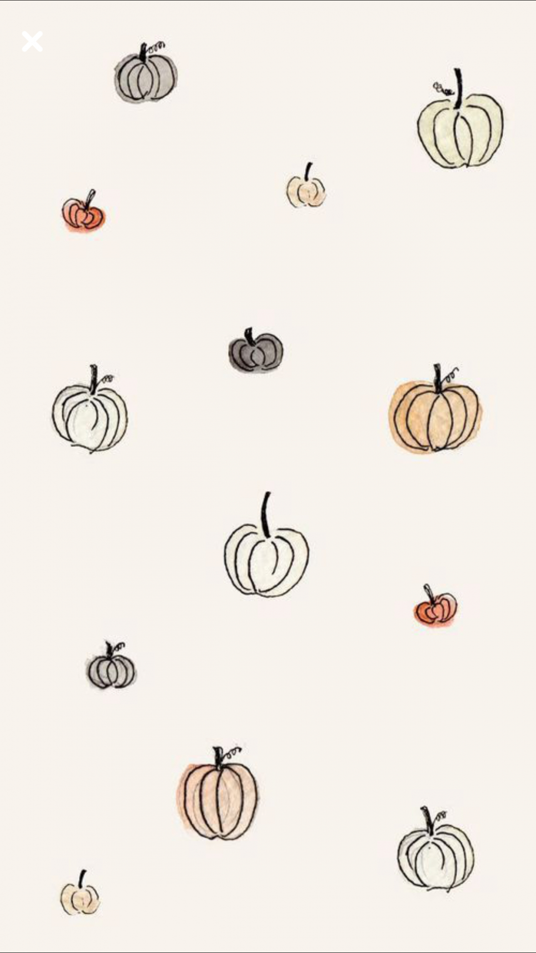 1080x1920 Cute Pumpkin Background Free Download, Phone