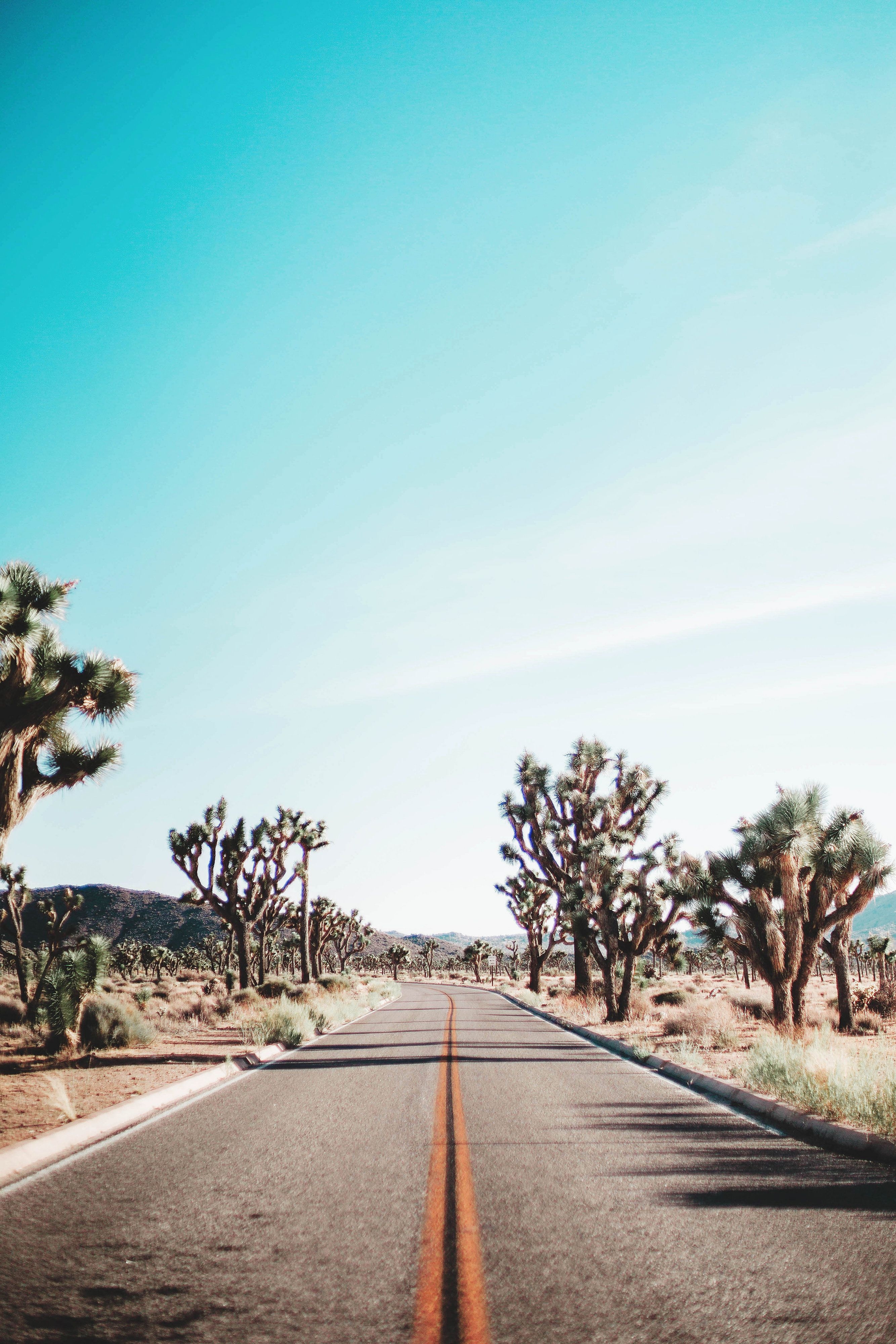 2670x4000 This Pin was discovered by Nicolette Mason. Discover and save, Phone