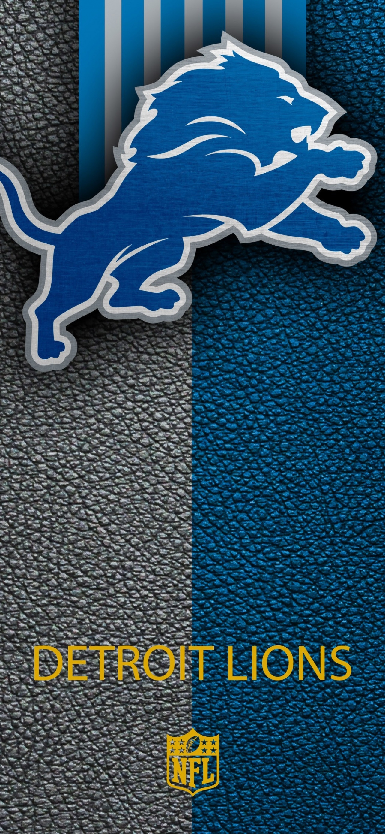1290x2780 Detroit Lions Wallpaper 4K, 5K, NFL team, Phone