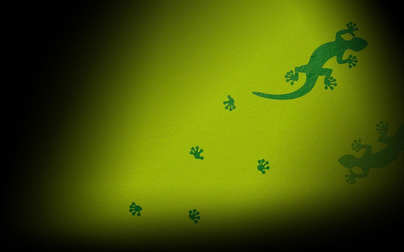 1680x1050 Gecko Wallpaper. ZyZiXuN E Journal, Desktop