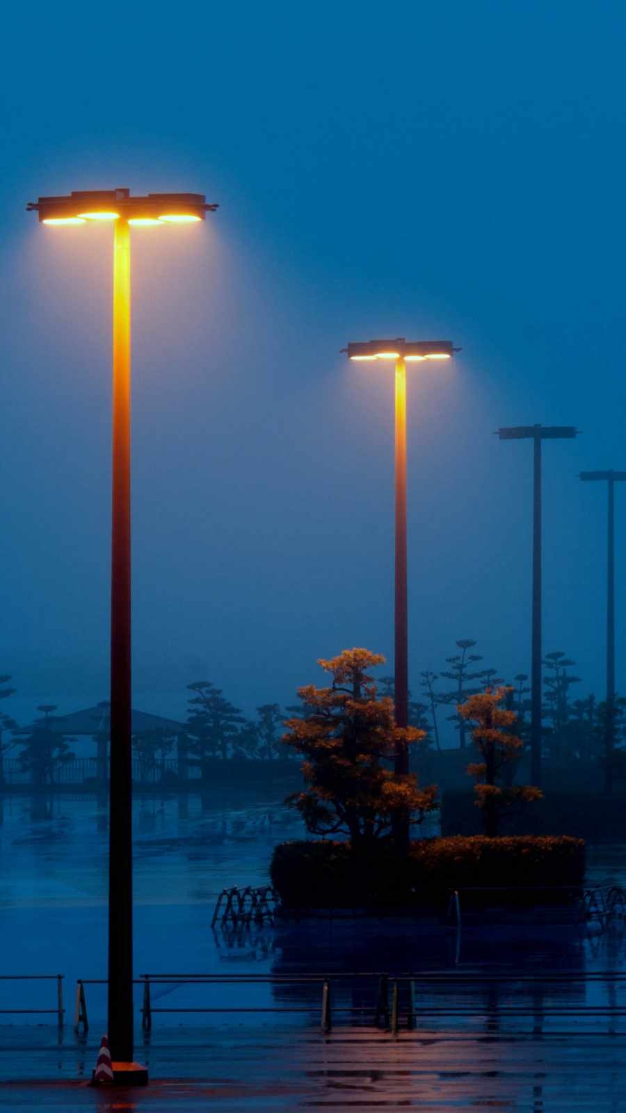 900x1600 Street Lights, Phone