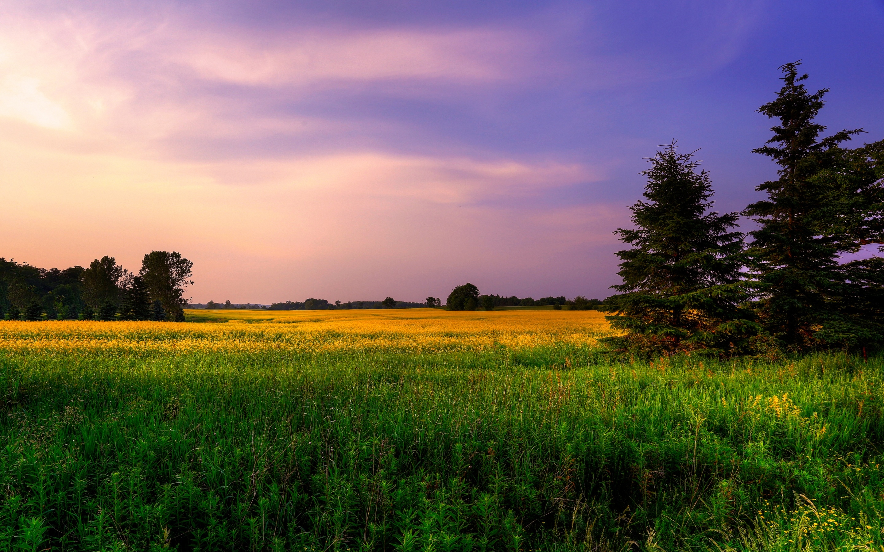 2880x1800 Farm Land Wallpaper 4K, Green Fields, Nature, Desktop