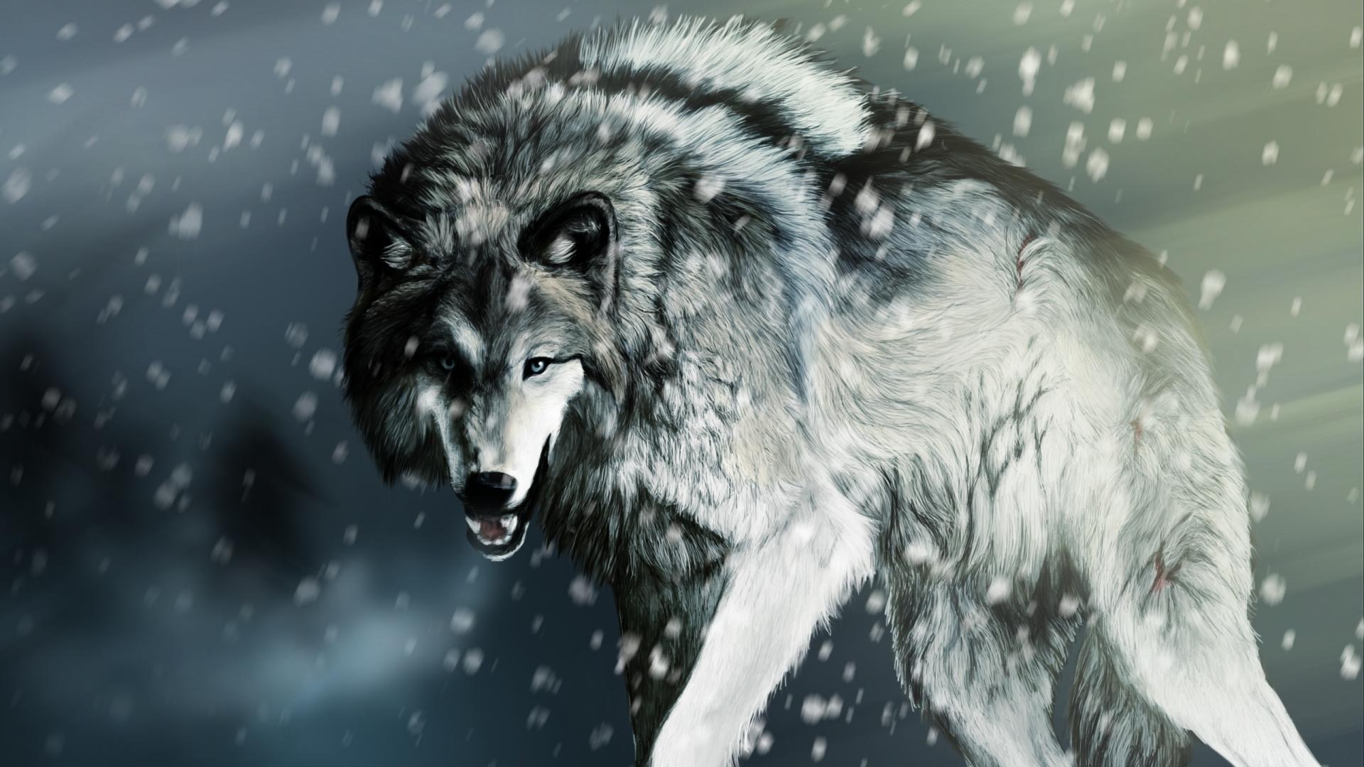 1920x1080 White Wolf wallpaper, Desktop