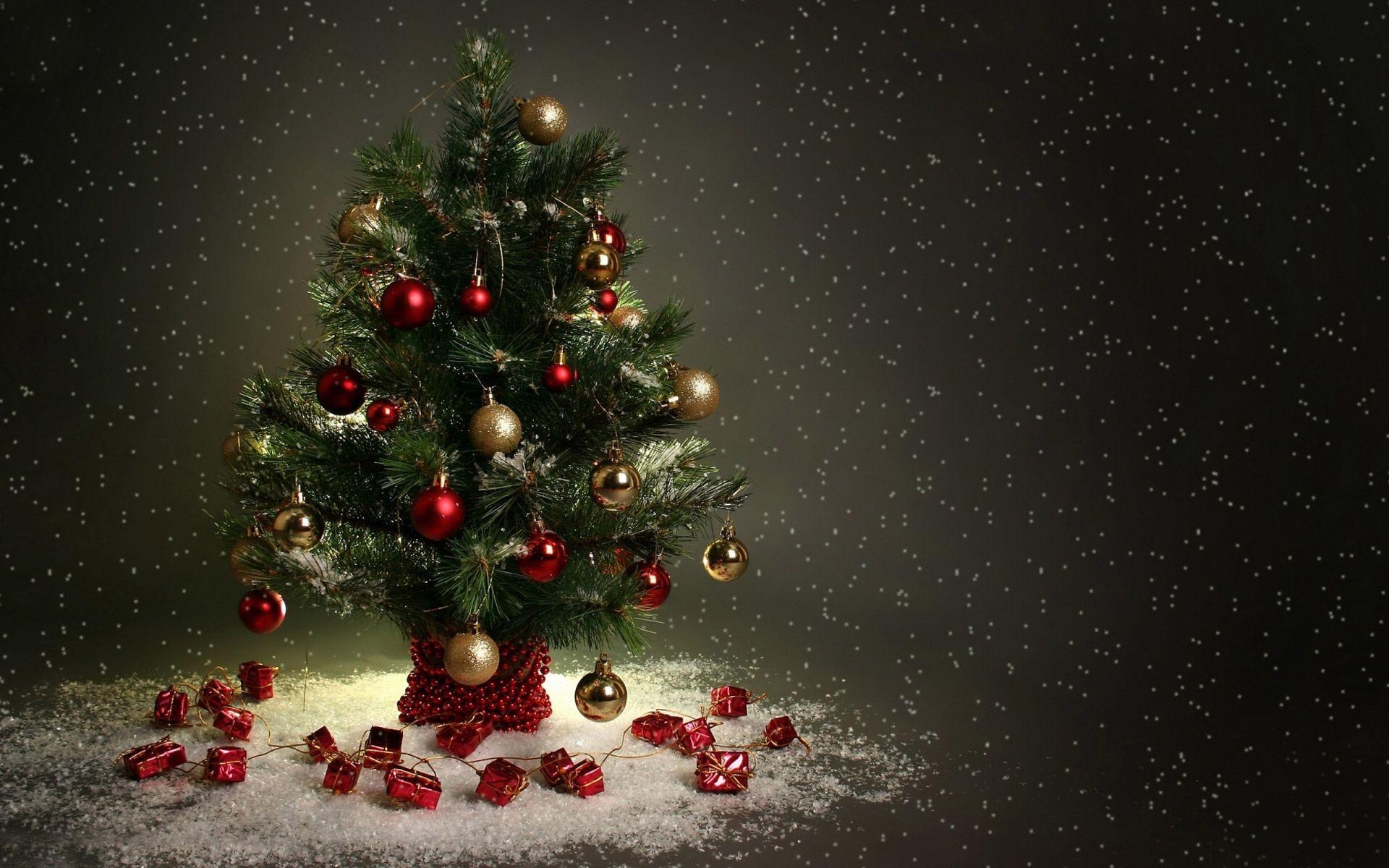 1920x1200 Beautiful Christmas Tree HD Wallpaper, Free Download Tree, Desktop
