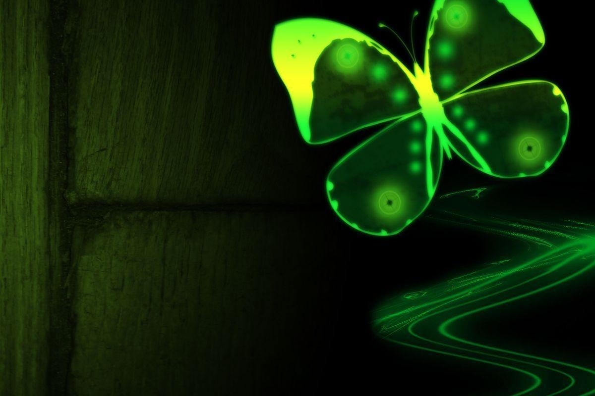 1200x800 Neon Green Butterfly Wallpaper, Desktop