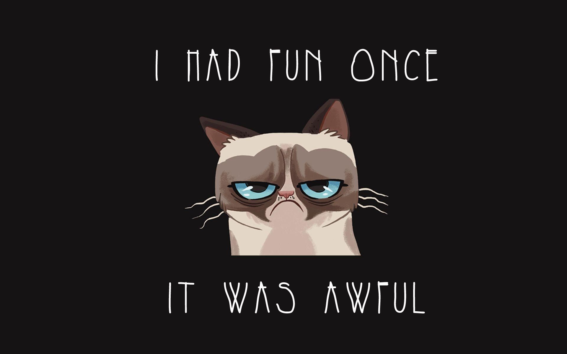 1920x1200 22490) Funny Quotes HD Wallpaper For Pc, Desktop