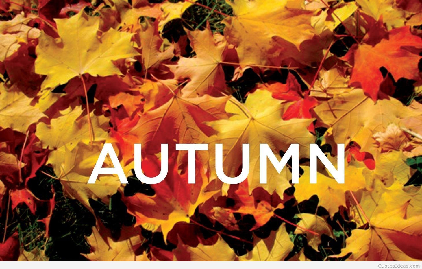 1460x930 Autumn wallpaper quotes HD and autumn sayings messages, Desktop