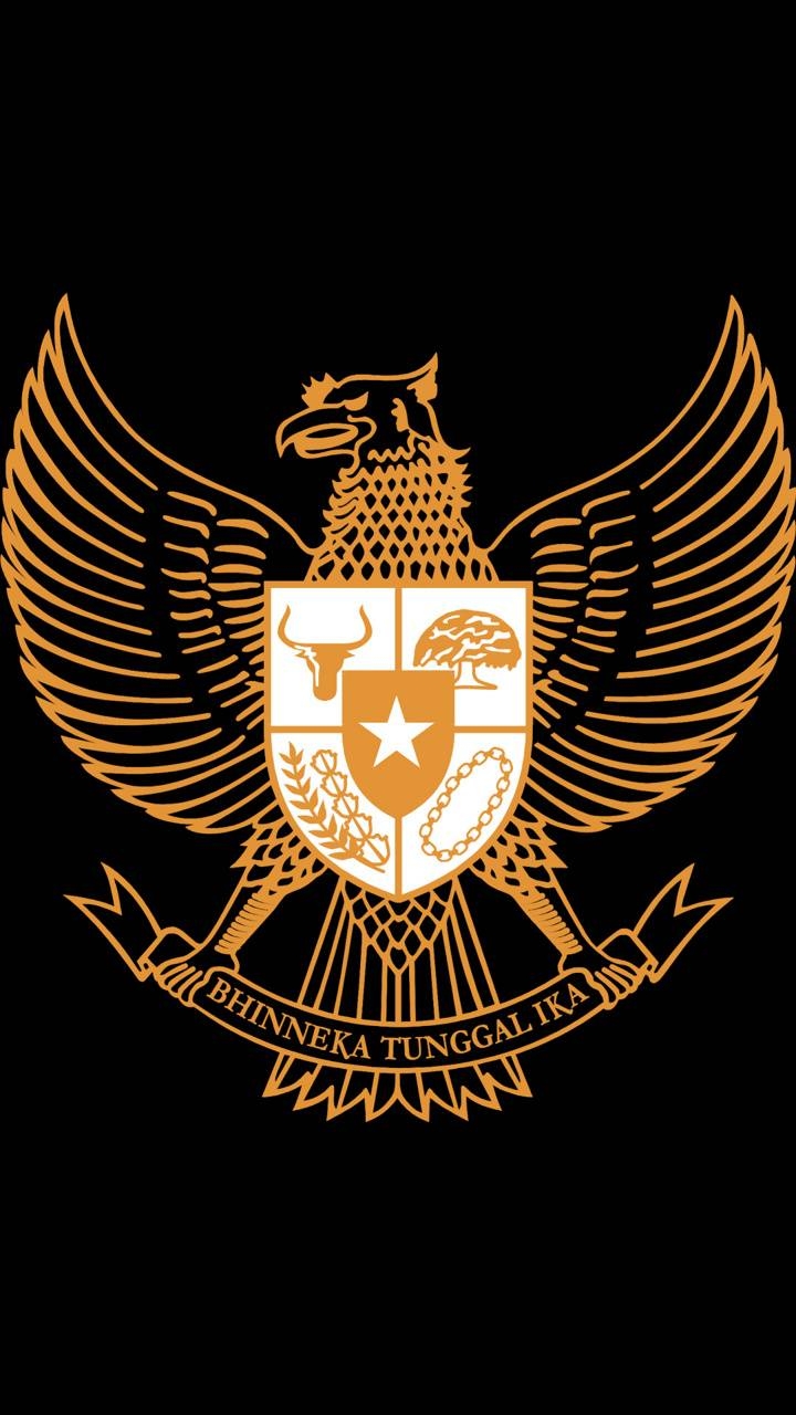 720x1280 Garuda Indonesia HD wallpaper, Phone