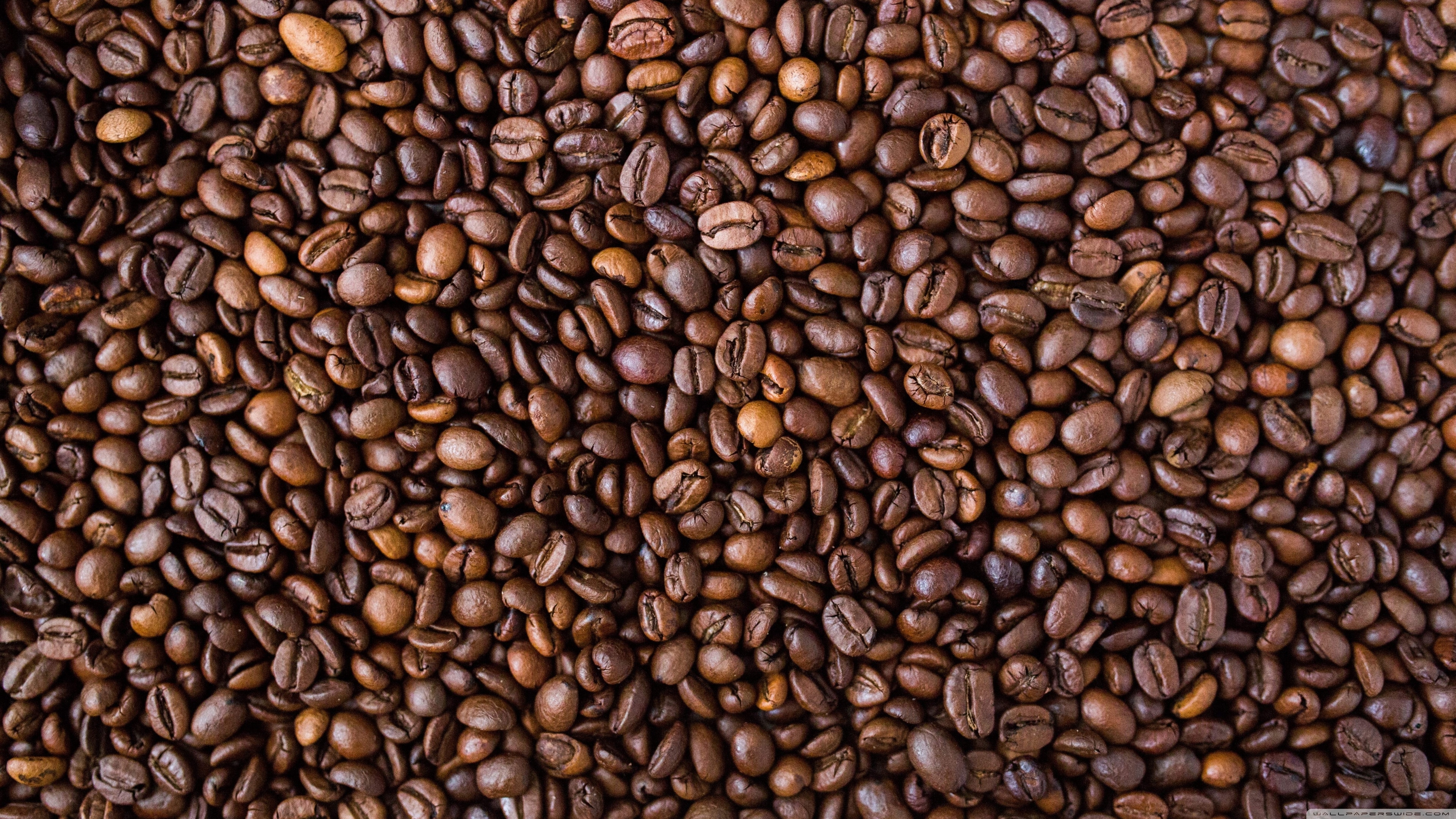 3840x2160 Coffee Beans Ultra HD Desktop Background Wallpaper for 4K UHD TV, Widescreen & UltraWide Desktop & Laptop, Multi Display, Dual & Triple Monitor, Tablet, Desktop