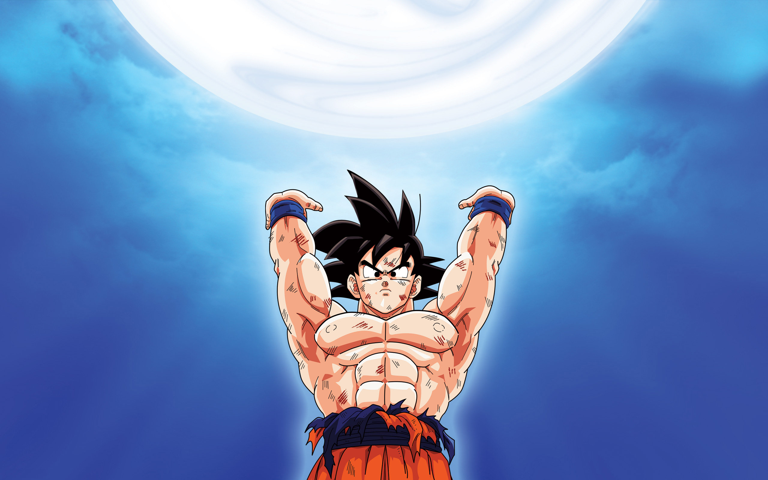 2560x1600 Genki dama Goku wallpaperx1600, Desktop