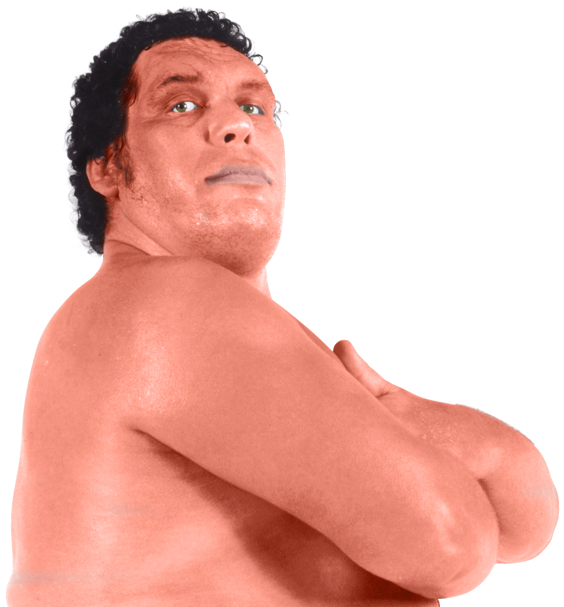 1860x2000 Wrestling Official Licensing Website of Andre The Giant, Phone