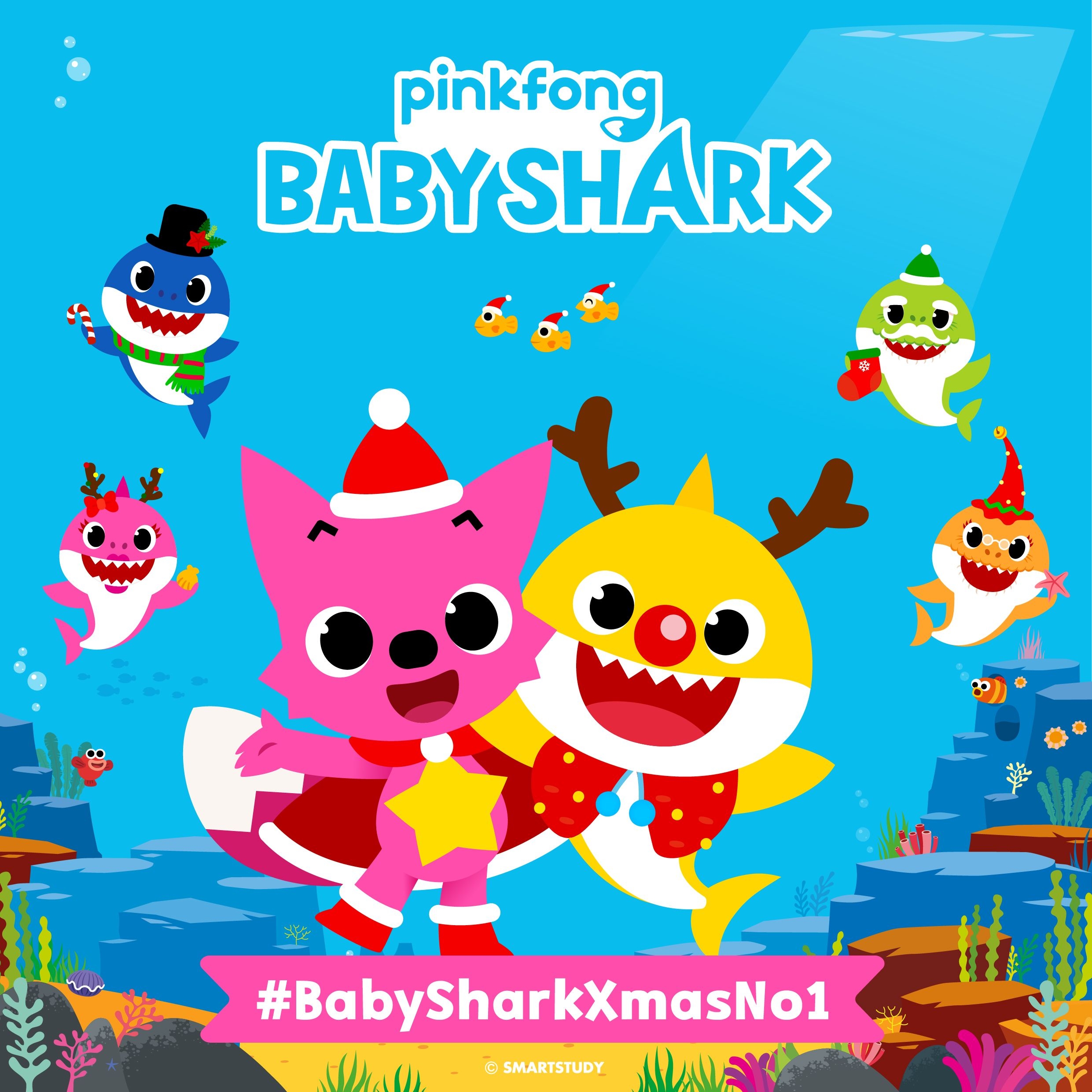 2490x2490 Baby Shark Wallpaper, Phone