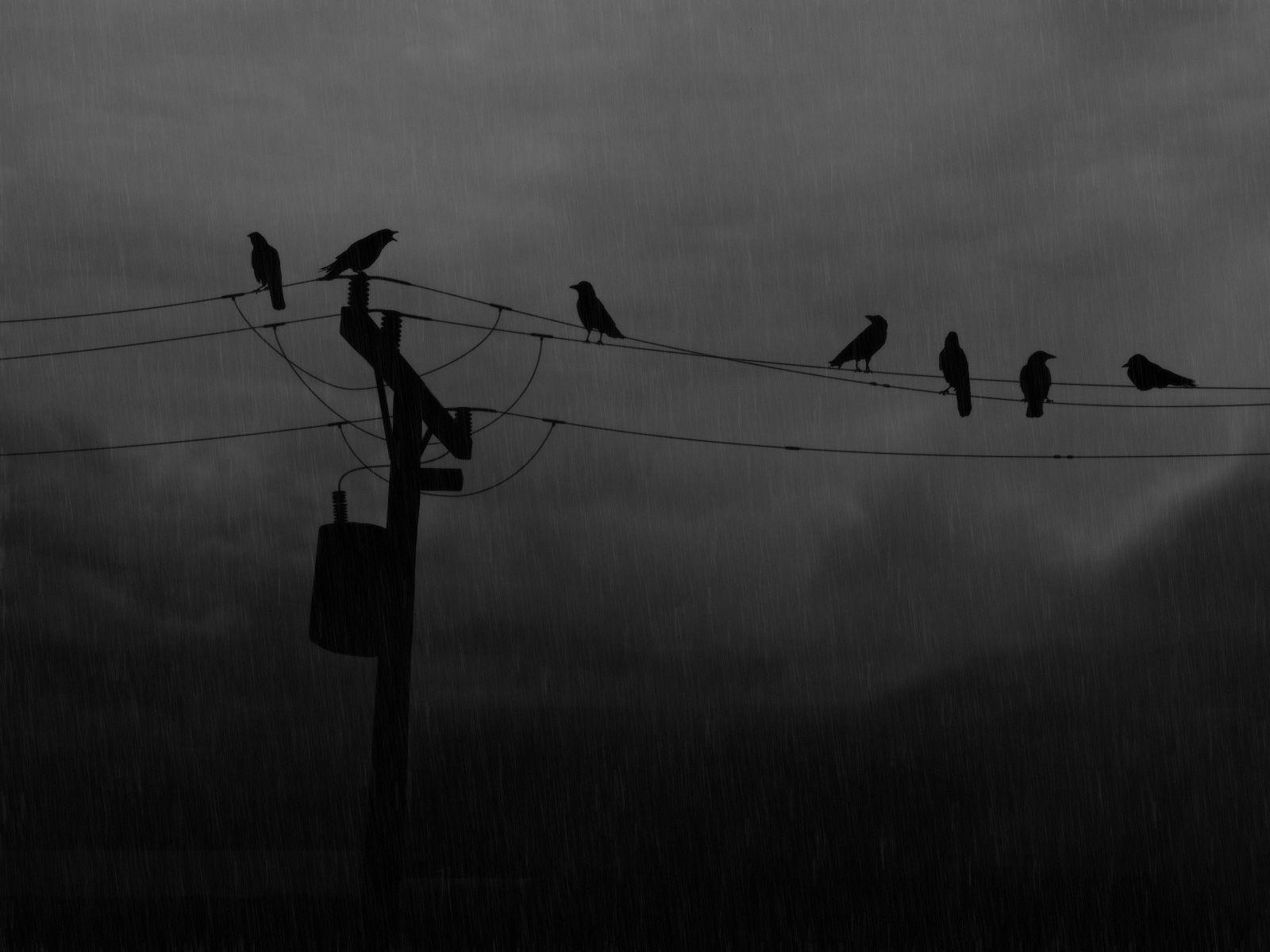 1600x1200 Rainy Day Wallpaperrainy Day Crows Wallpaper Free, Desktop