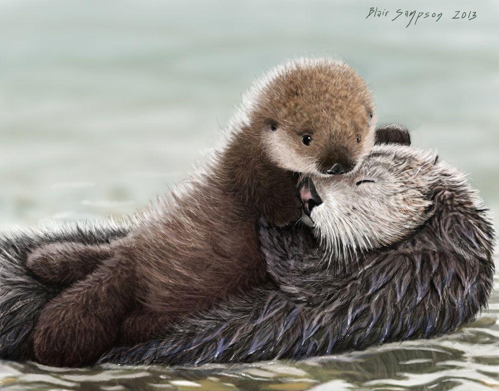 1030x810 Cute Otter Wallpaper, Desktop