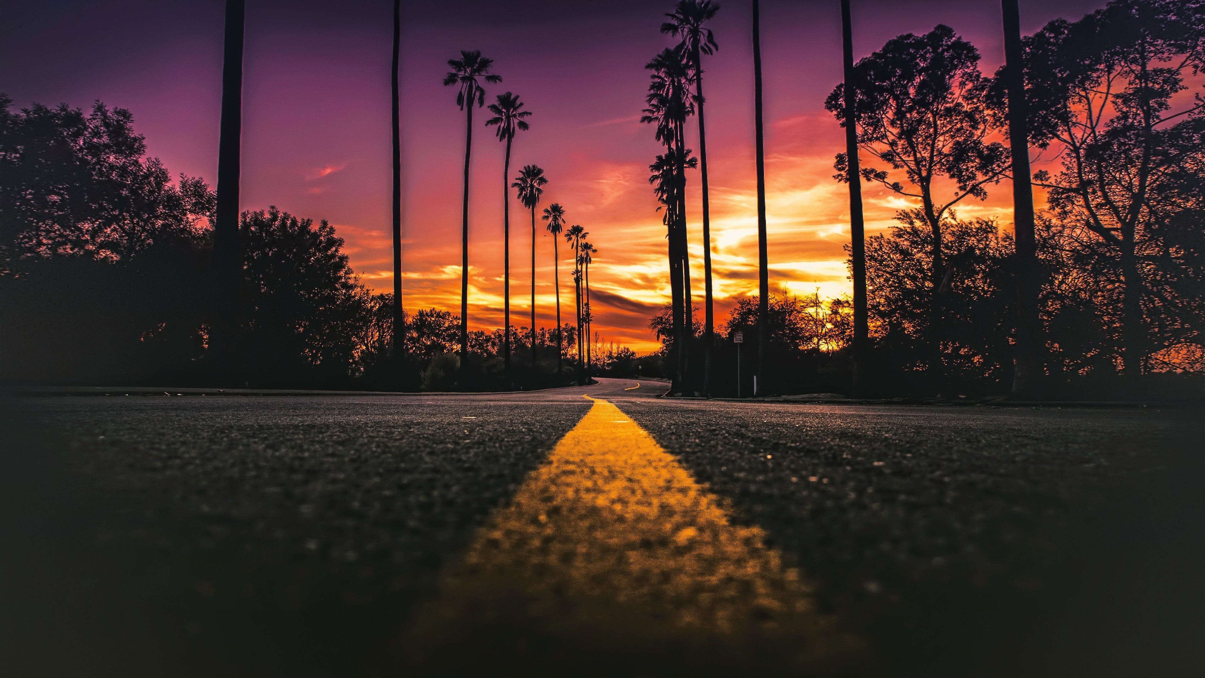 3840x2160 Los Angeles #California #road #palms #sunset K K #wallpaper #hdwallpaper #desktop. Sunset wallpaper, California wallpaper, Sunset photo, Desktop