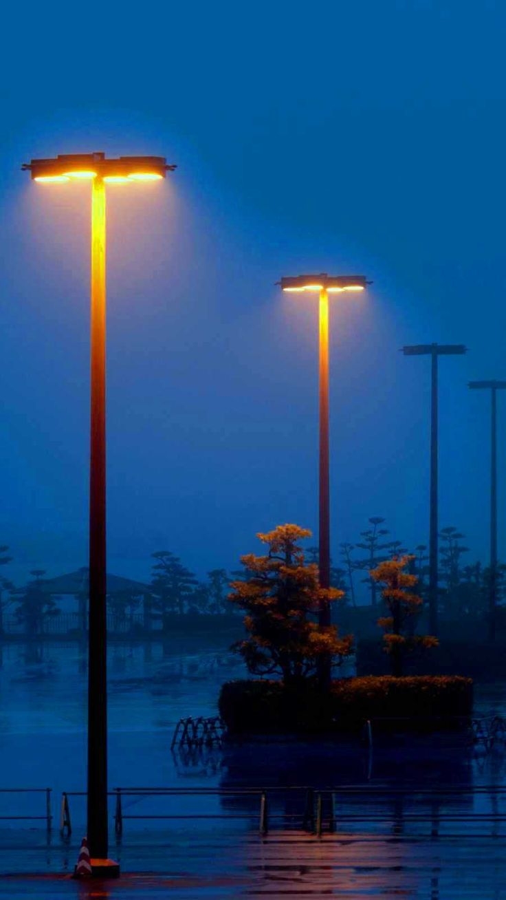 740x1310 Street Light Wallpaper. iPhone wallpaper, Forest wallpaper iphone, iPhone wallpaper photo, Phone