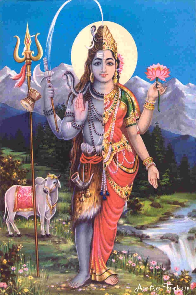 800x1200 Ardhnarishwar Picture of Lord Shiva and Parvati, Phone