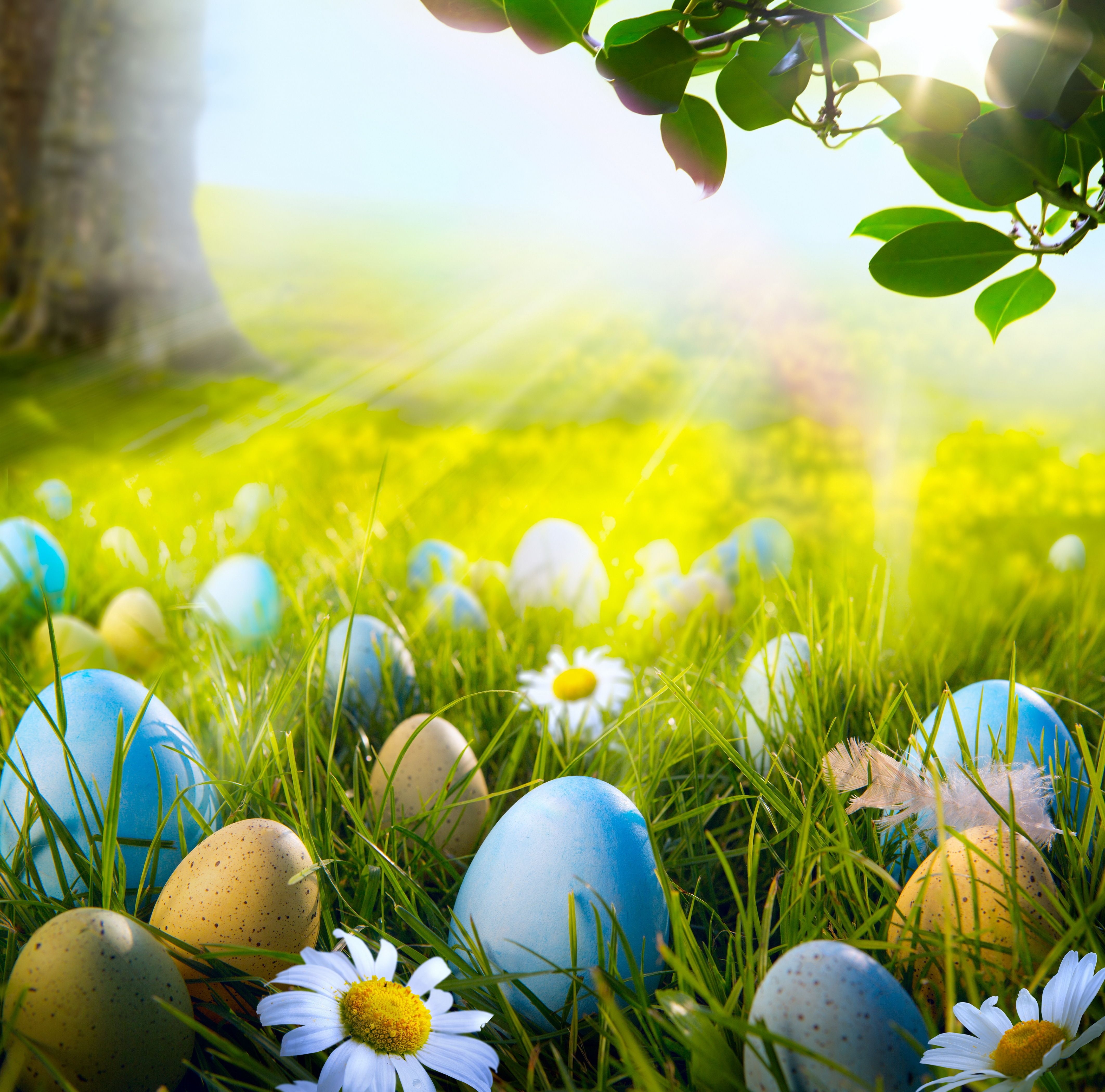 4250x4200 Easter Wallpaper HD download free colletion, Desktop