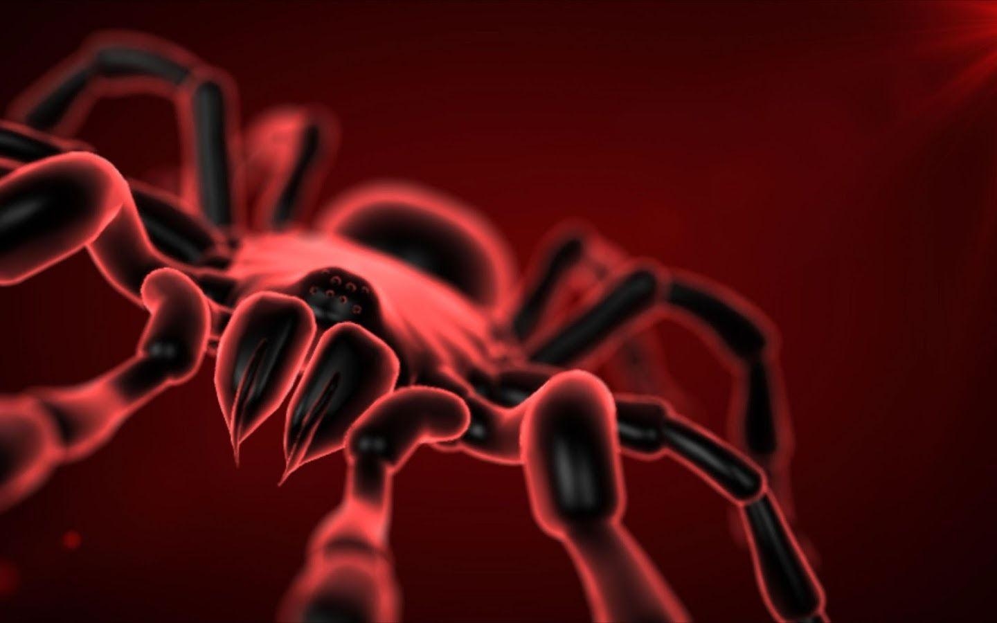 1440x900 Tarantula Live Wallpaper Apps on Google Play, Desktop