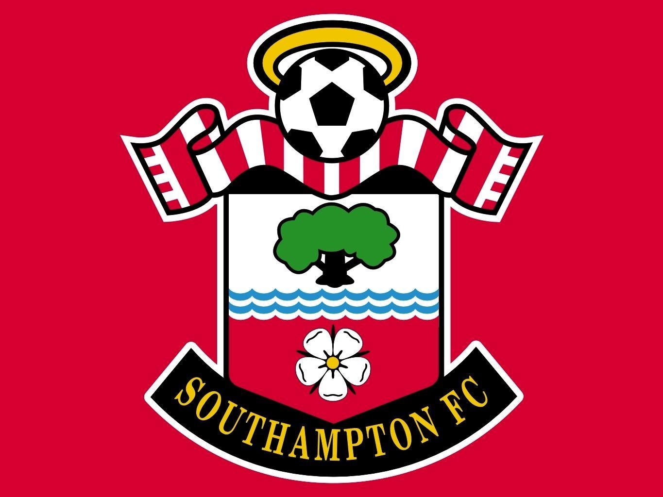 1370x1030 southampton fc flag, Desktop